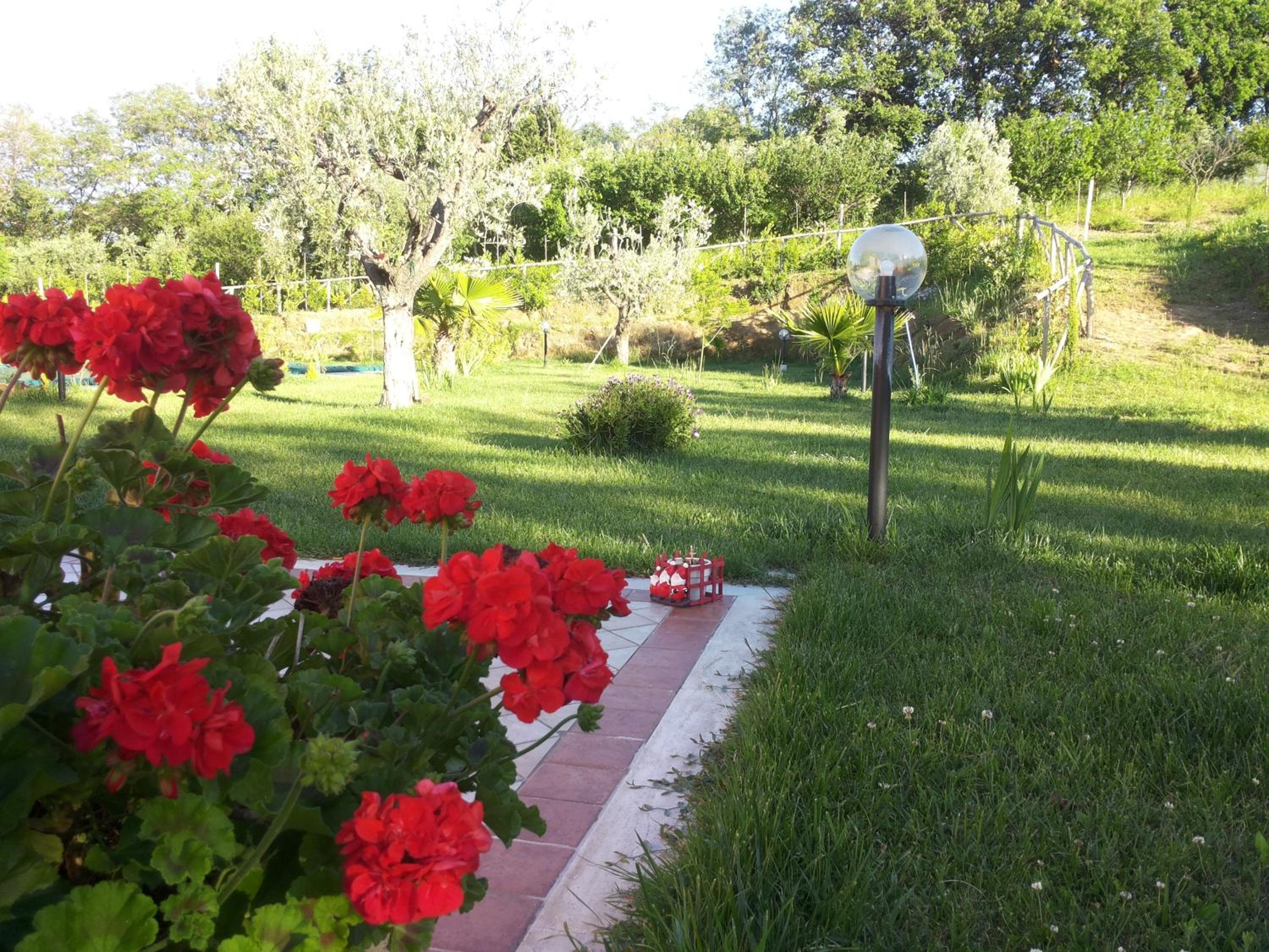 B&B Il Giardino Mediterraneo