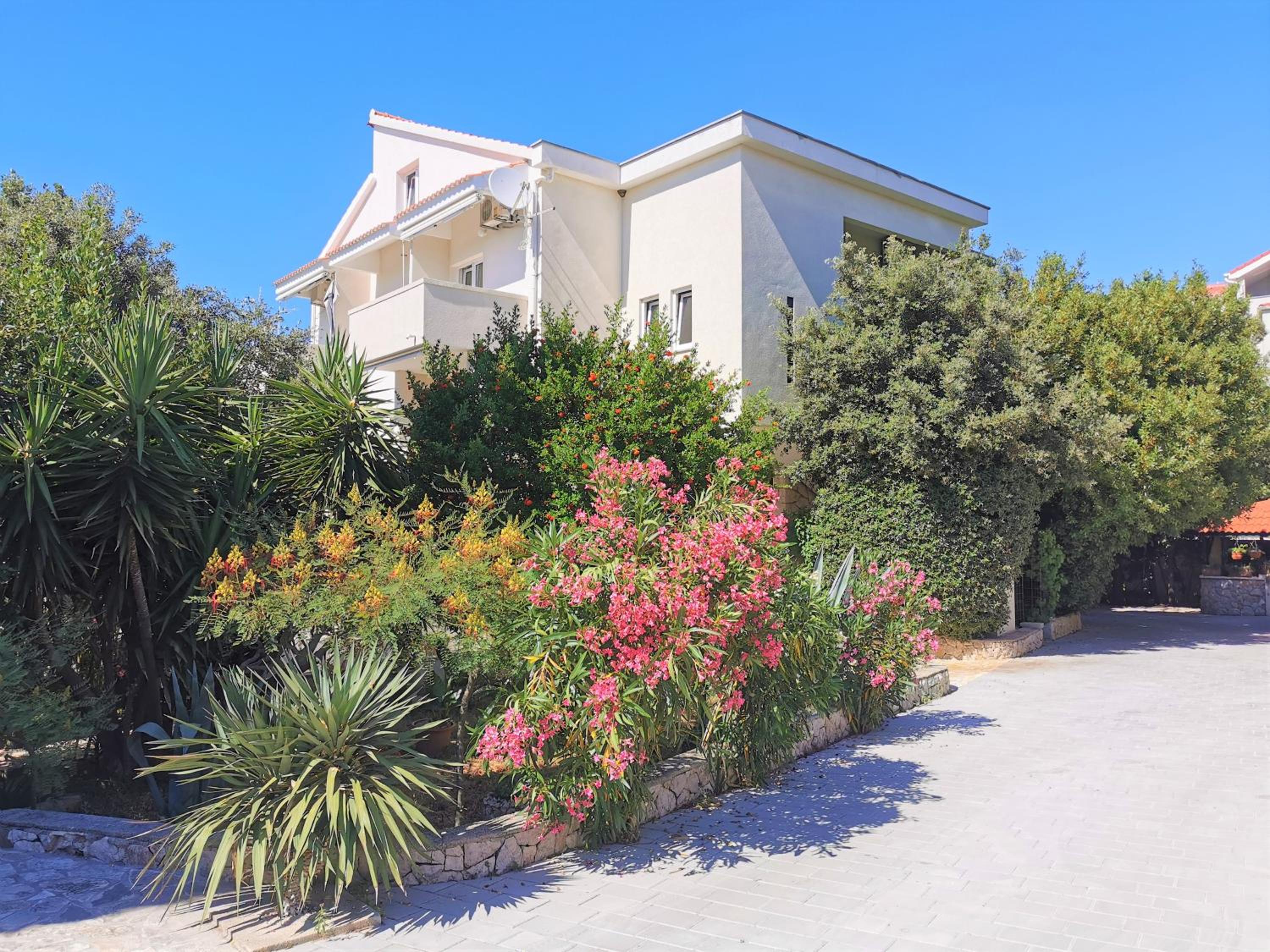 Photo 46