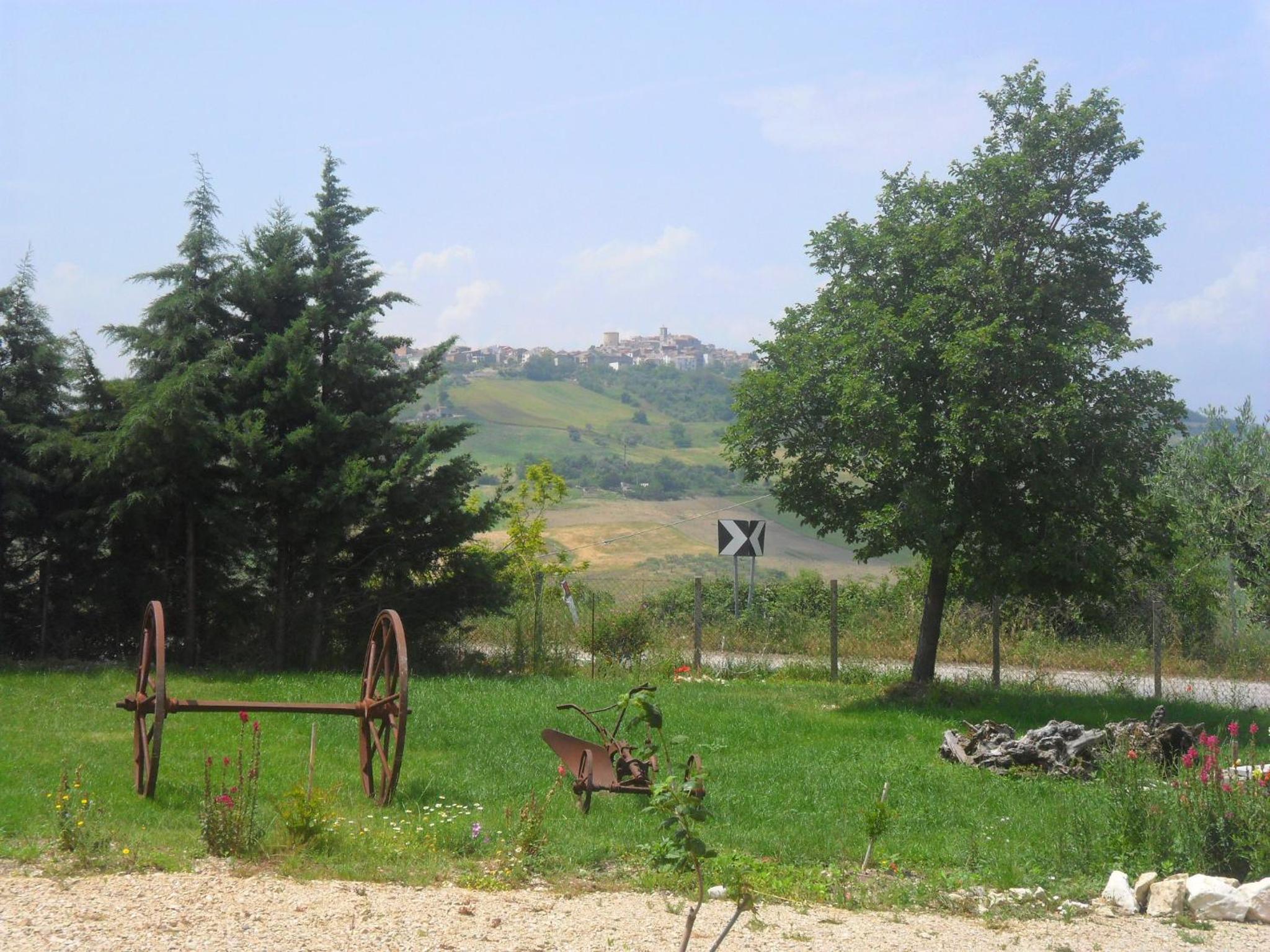 Photo 9