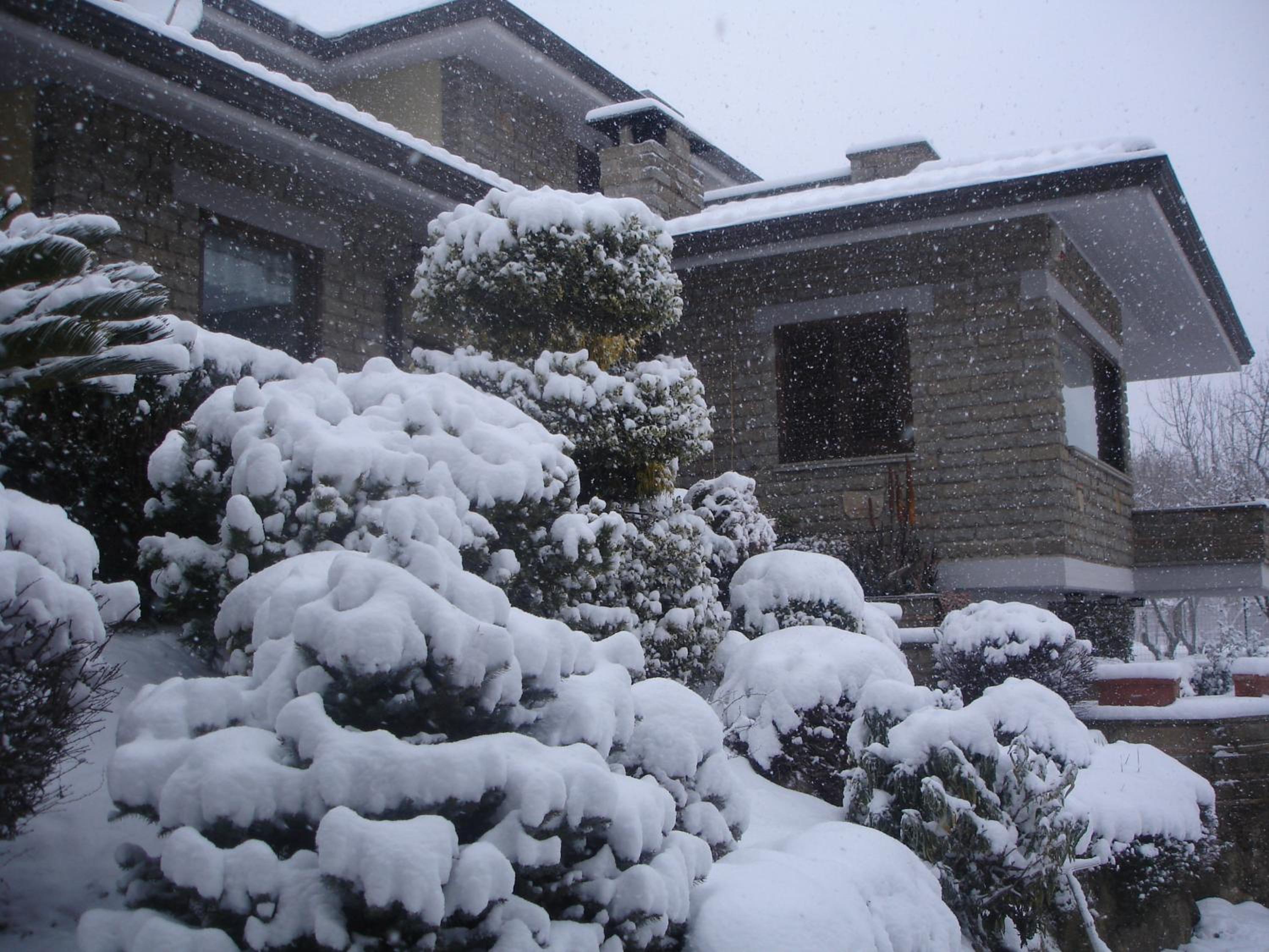 Photo 7