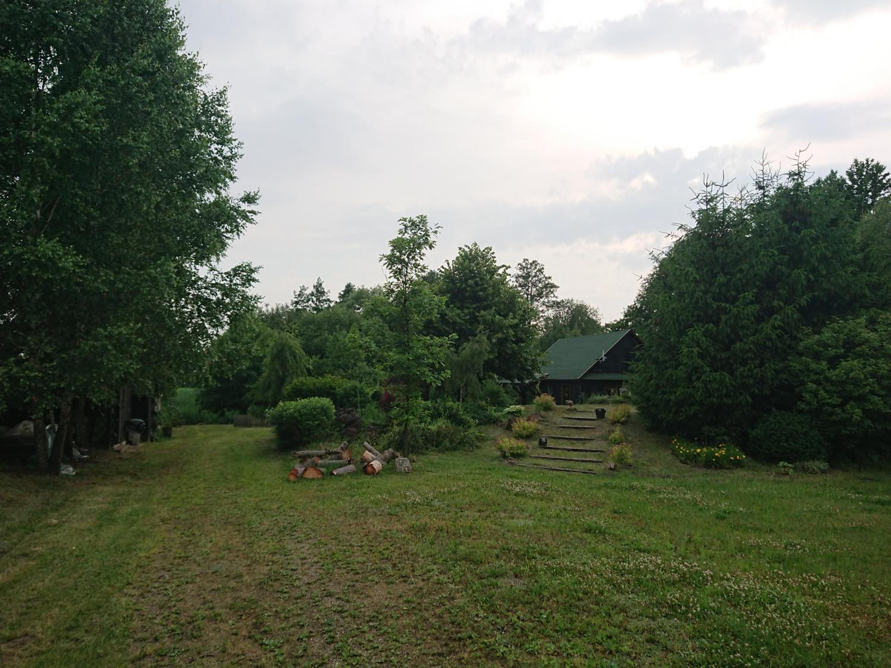 Photo 25