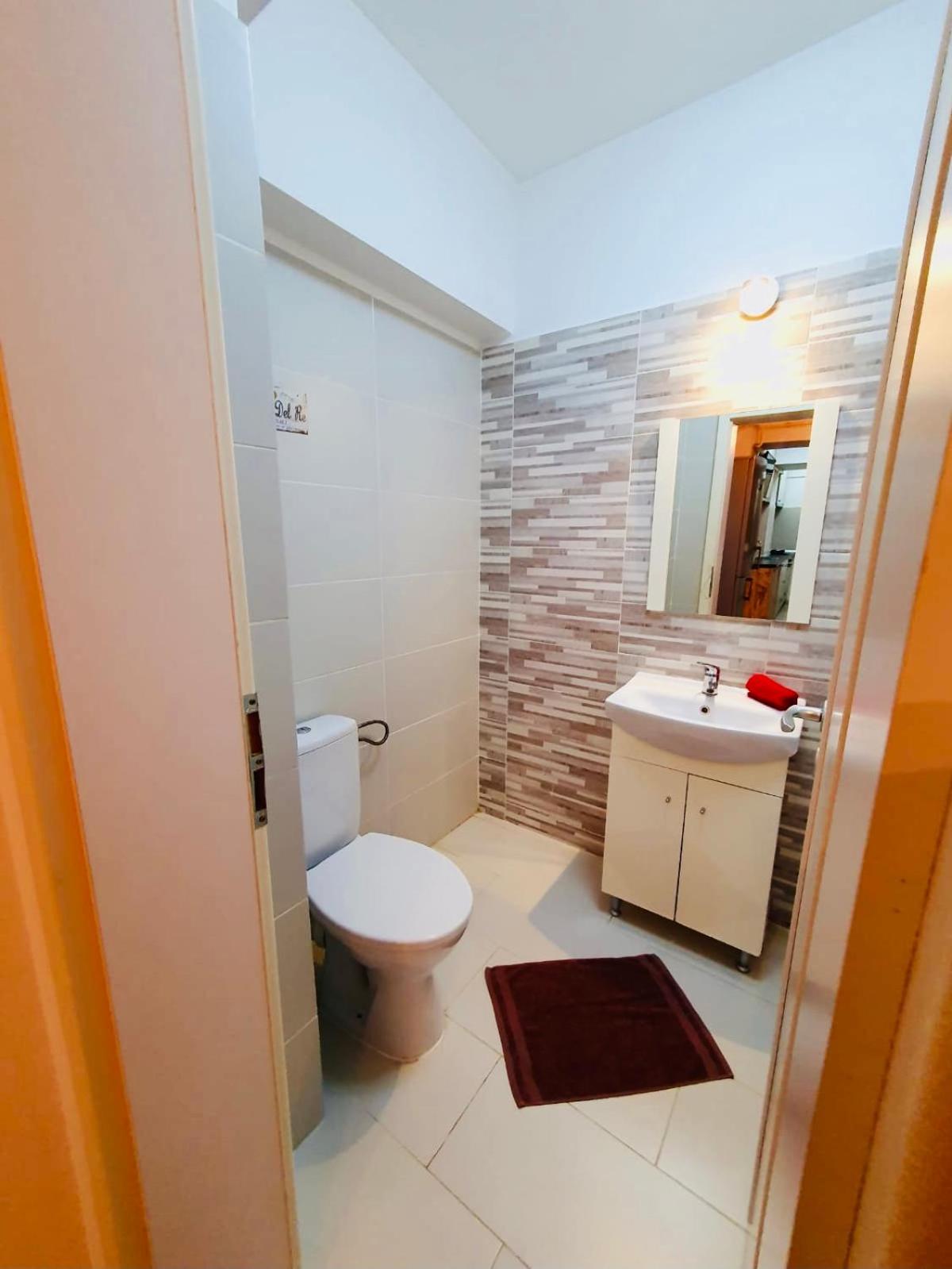 Oancea Residence - Image 4