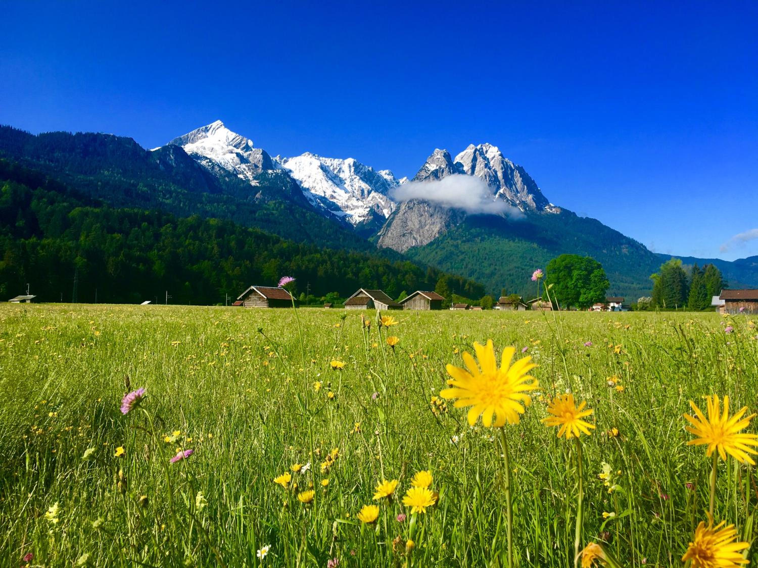 Alpine Escape Holiday Home with Mountain View