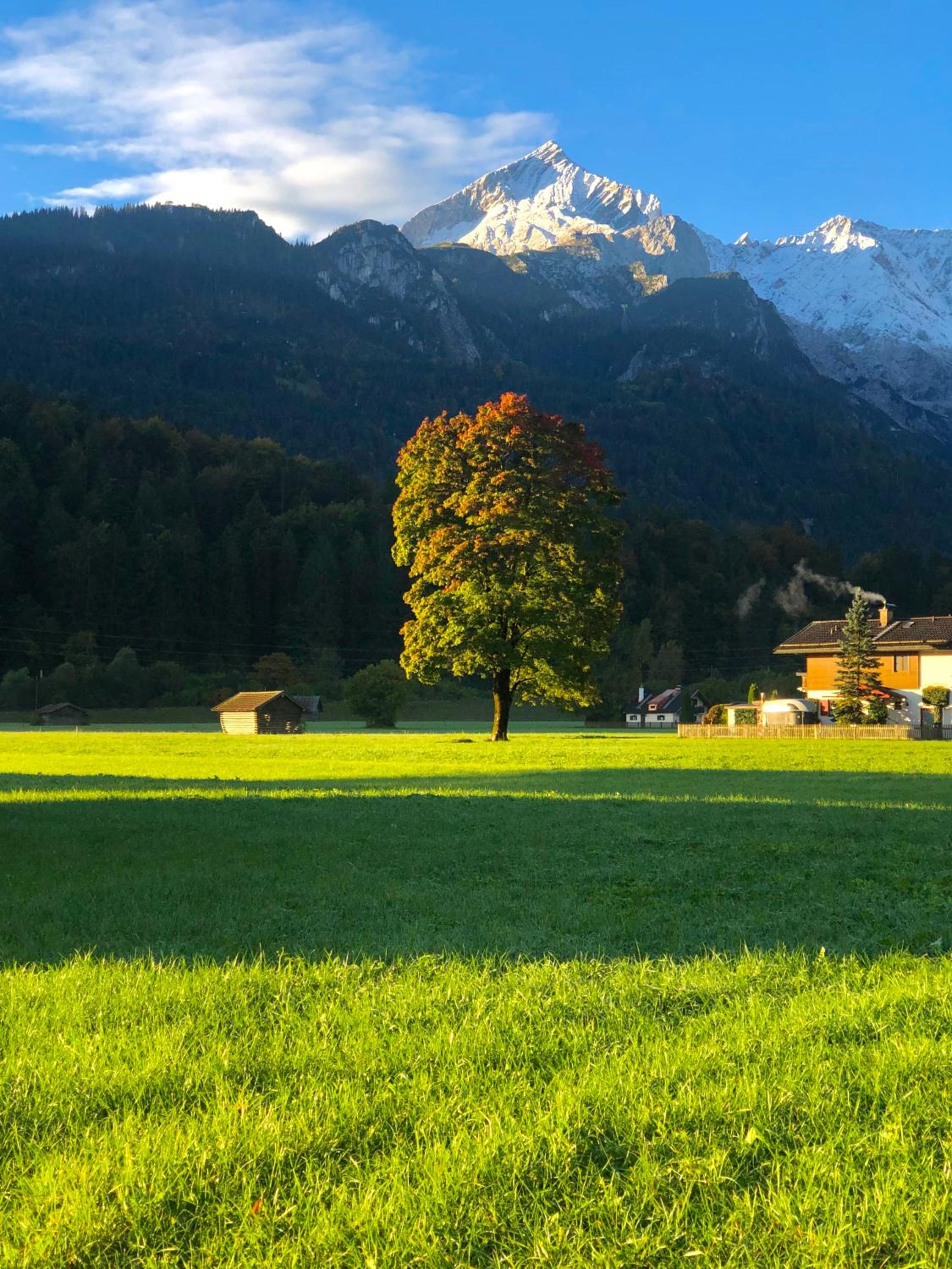 Alpine Escape Holiday Home with Mountain View