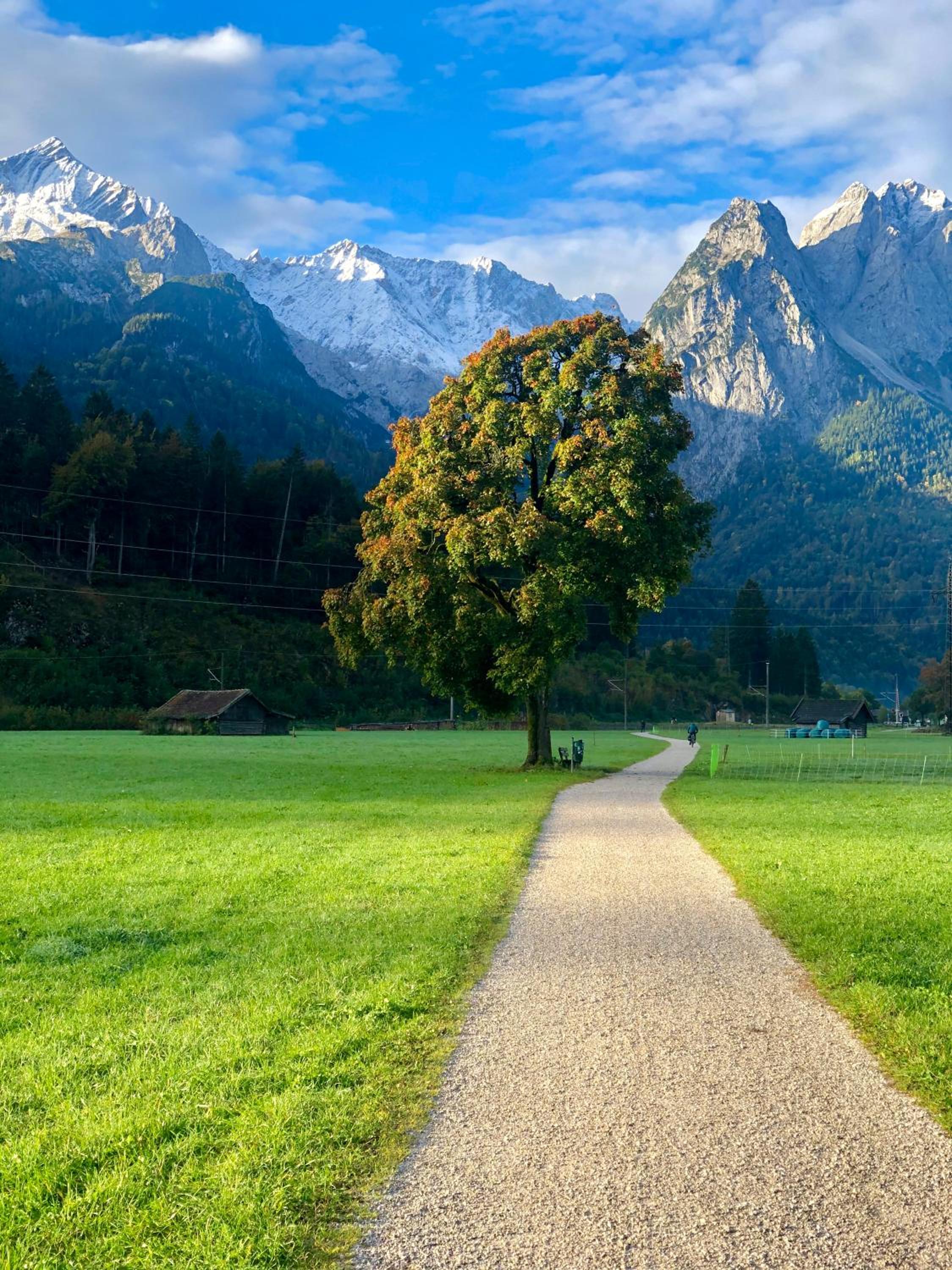 Alpine Escape Holiday Home with Mountain View