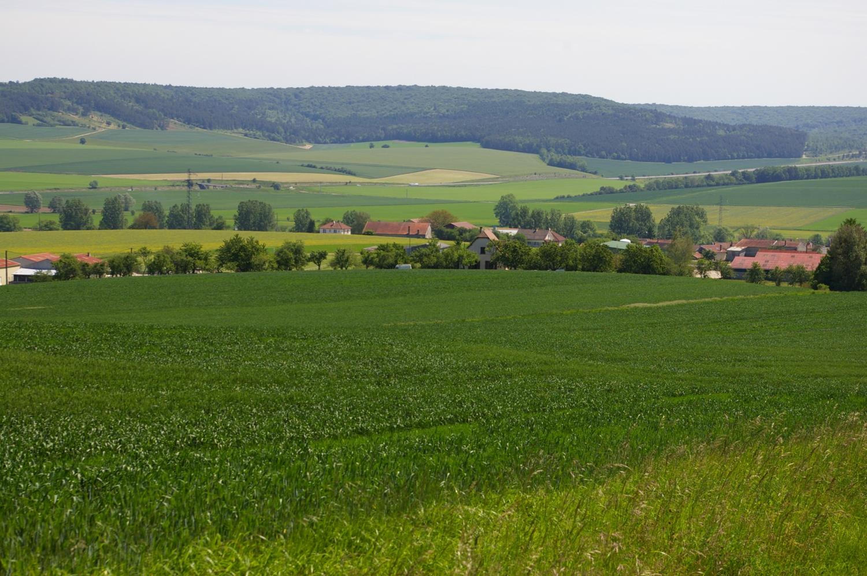 Gite au Chalet
