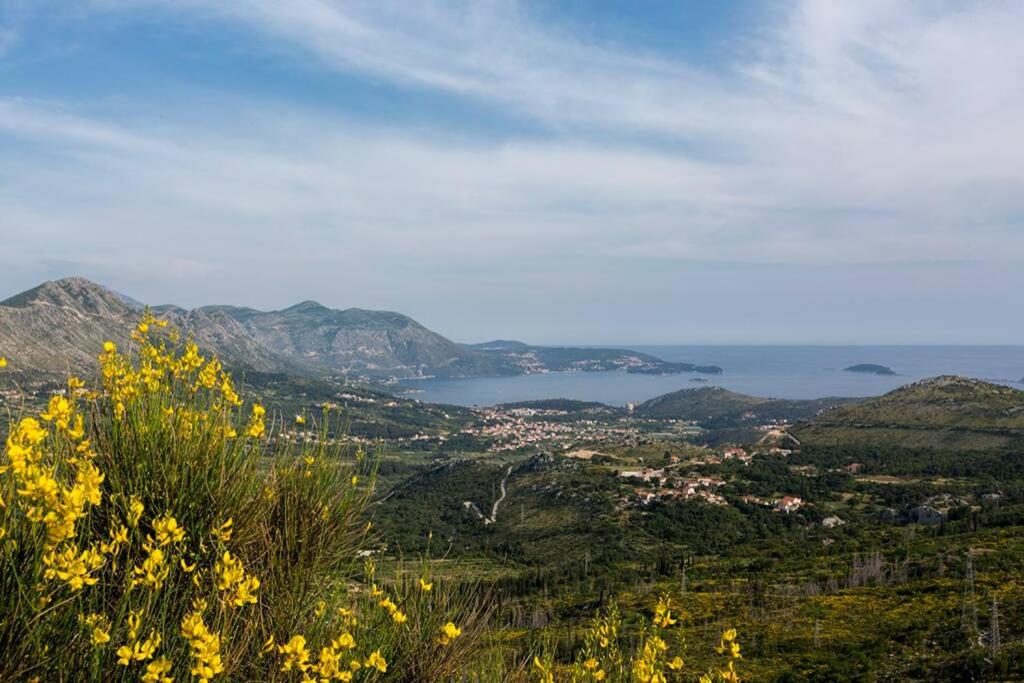VERY NICE TWO BEDROOM APARTMENT in IVANICA near DUBROVNIK - B view 4
