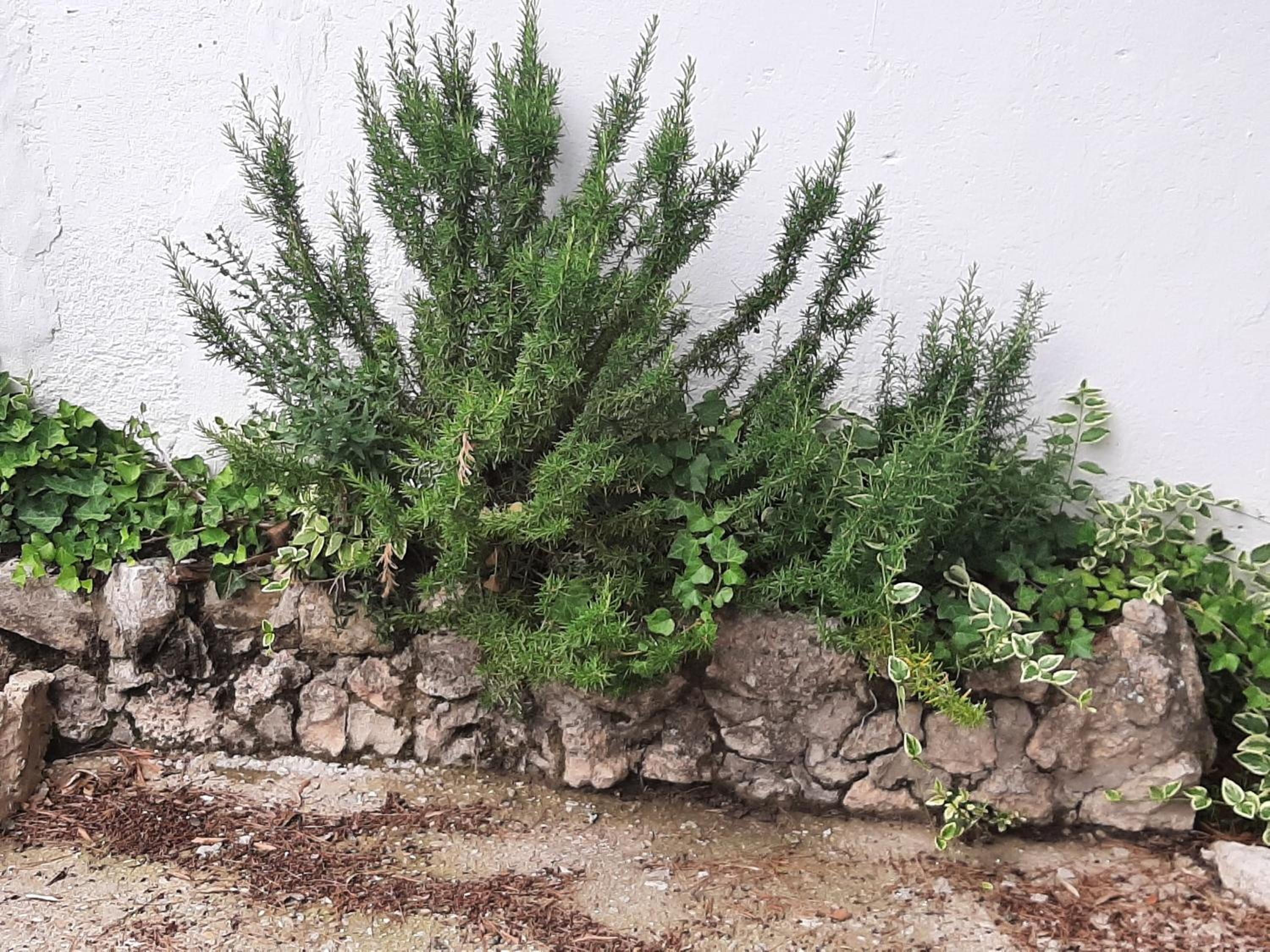 Photo 31