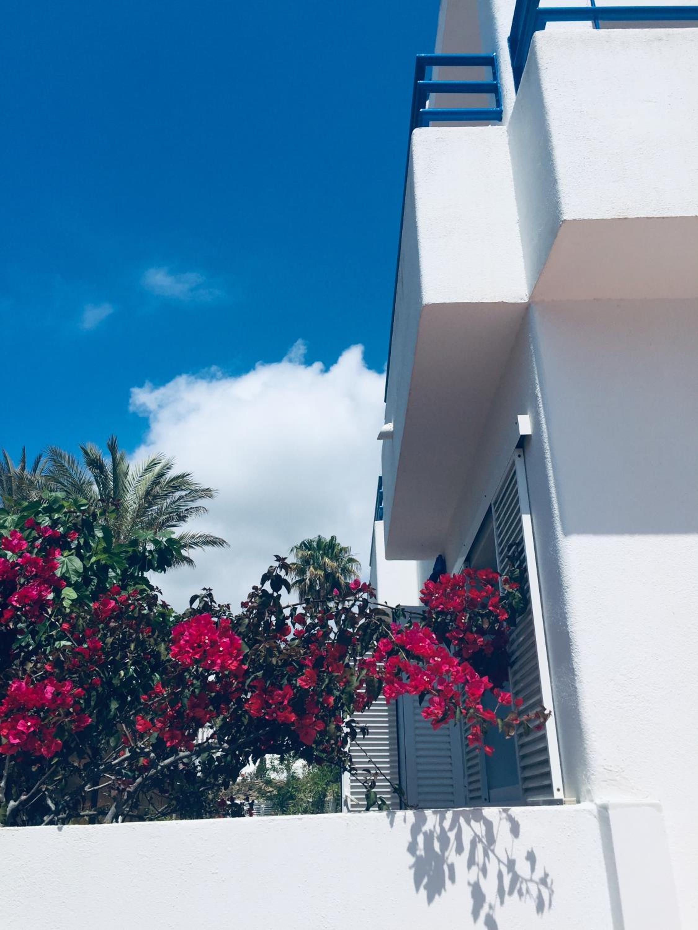 Arto Blanco