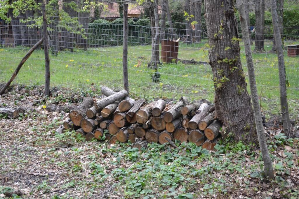 Photo 31