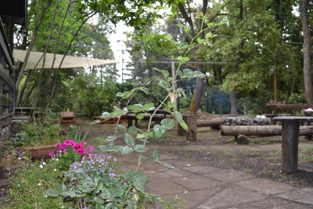 Photo 28