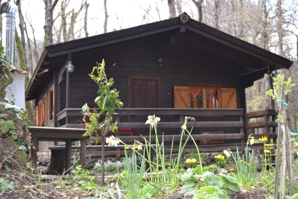 Hotel Intry Etna Chalet - Image 1