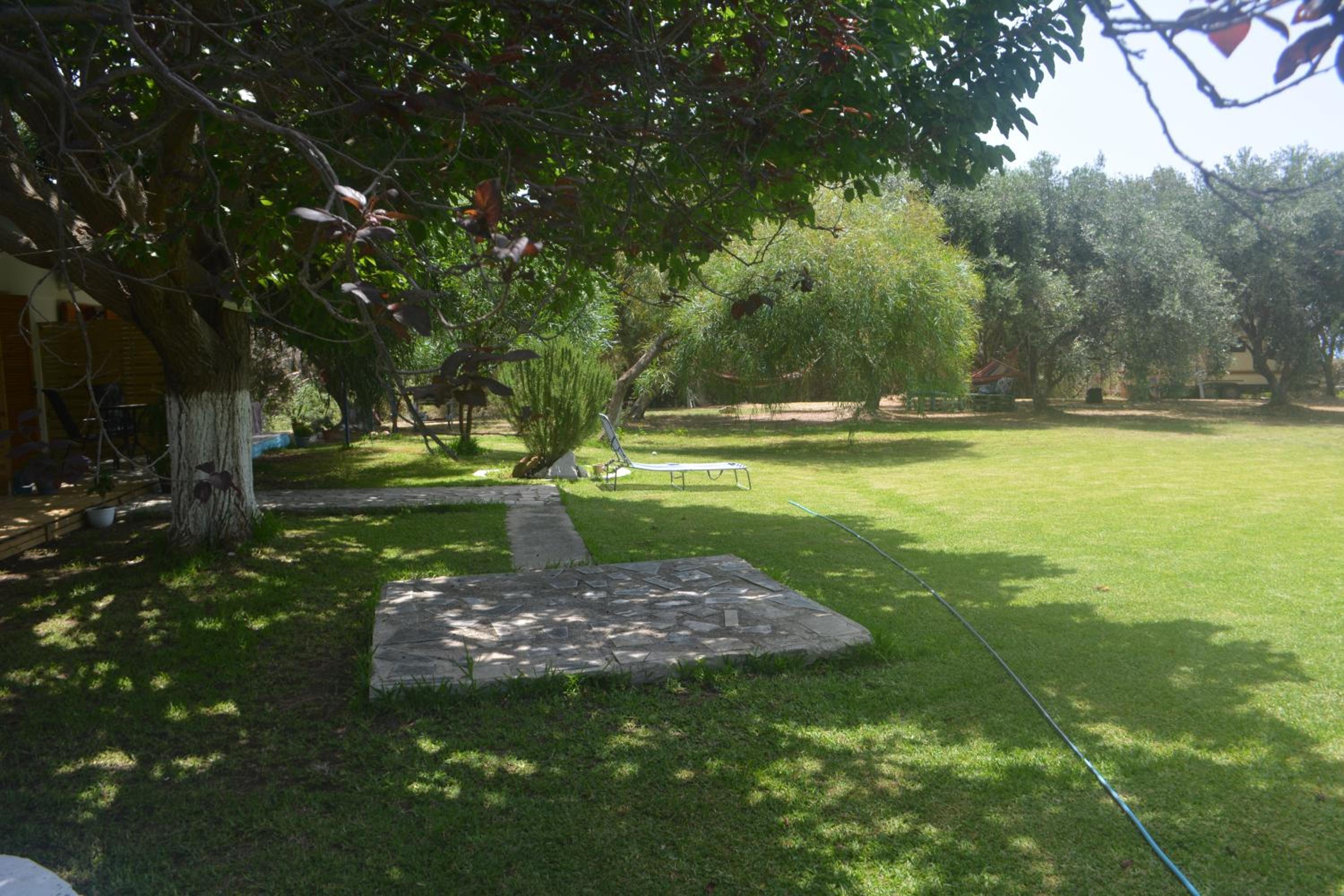 Photo 46