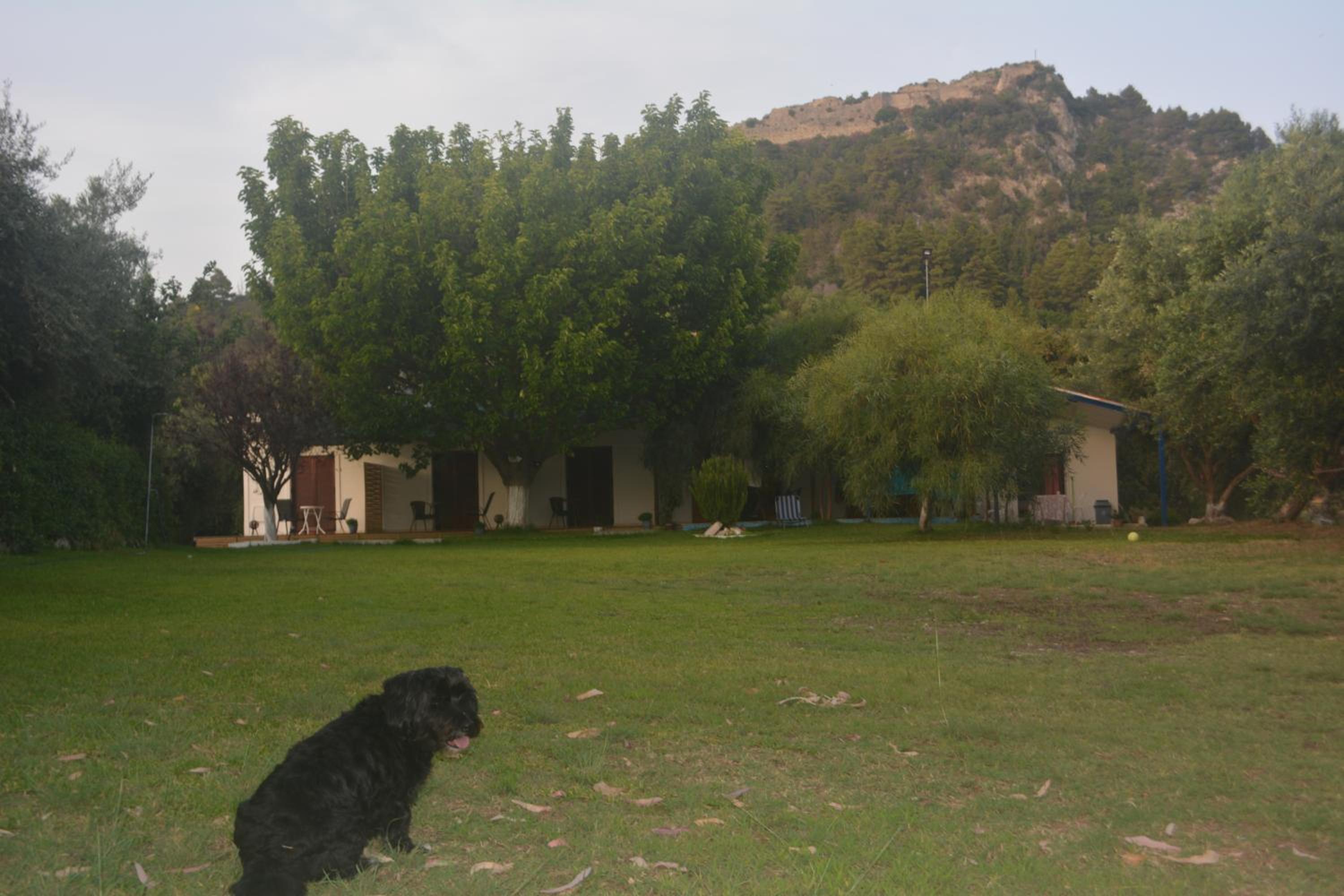 Photo 47