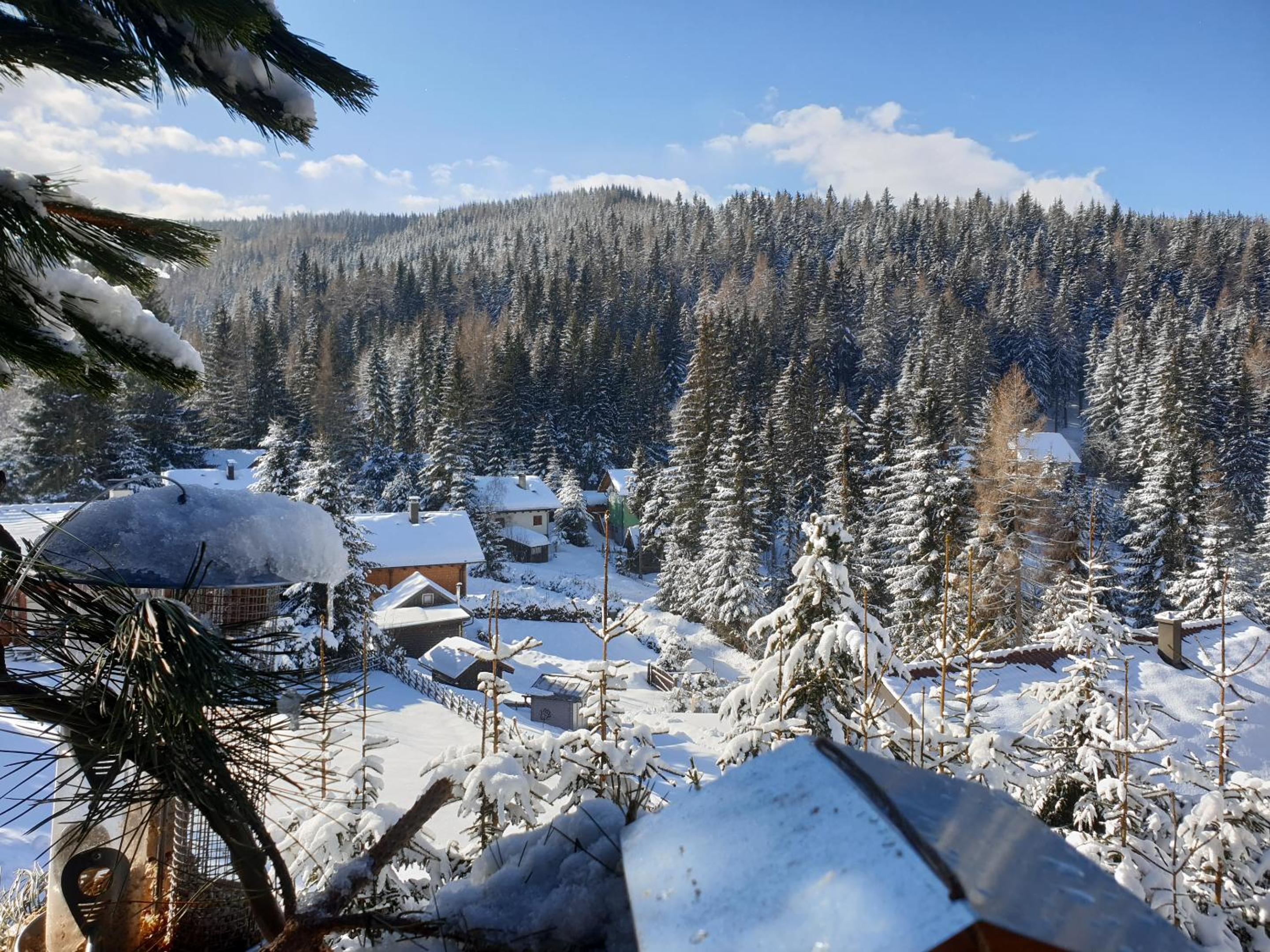 Alm-Ferienhaus Gaisegg am Klippitztörl