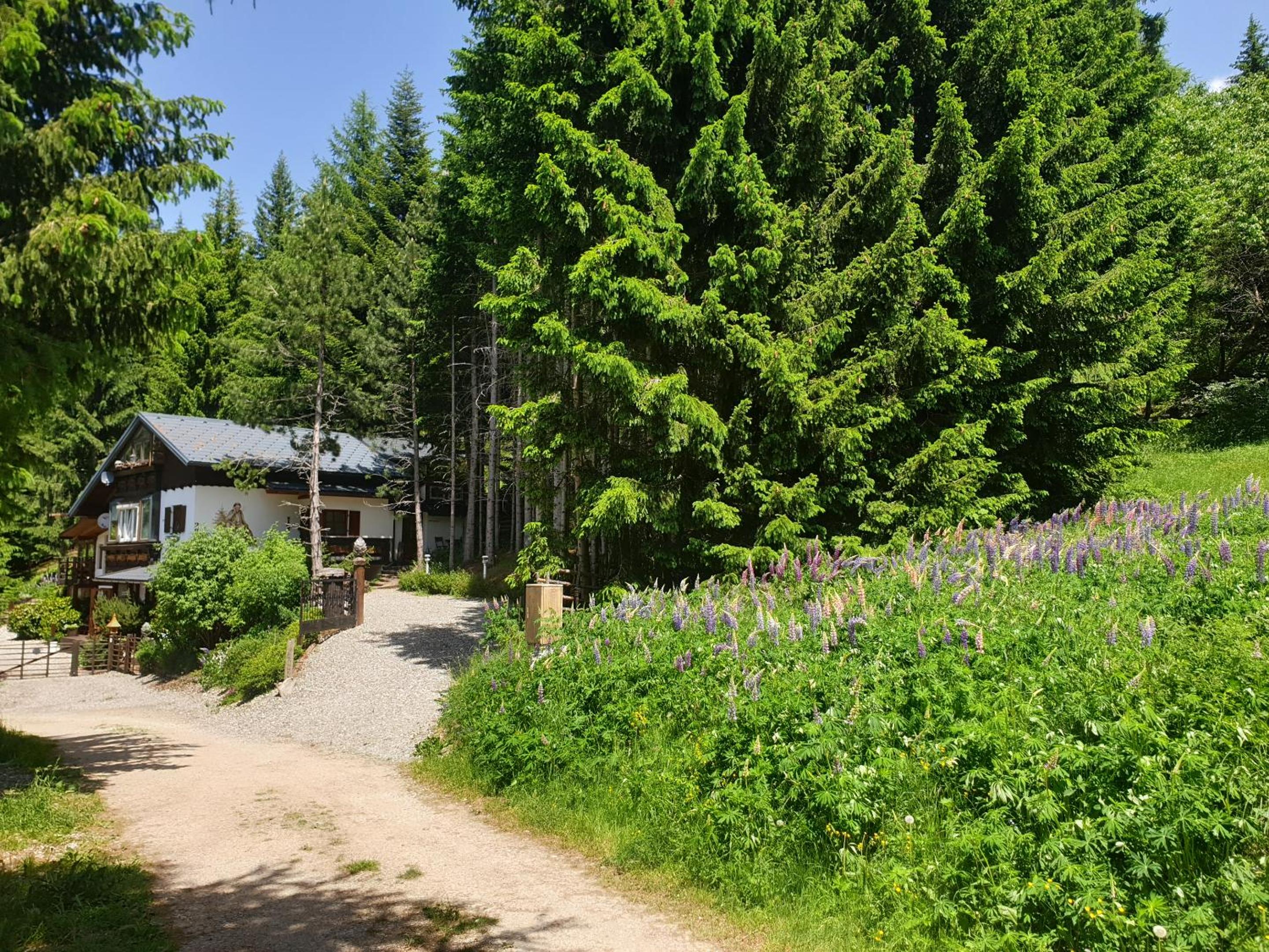 Alm-Ferienhaus Gaisegg am Klippitztörl