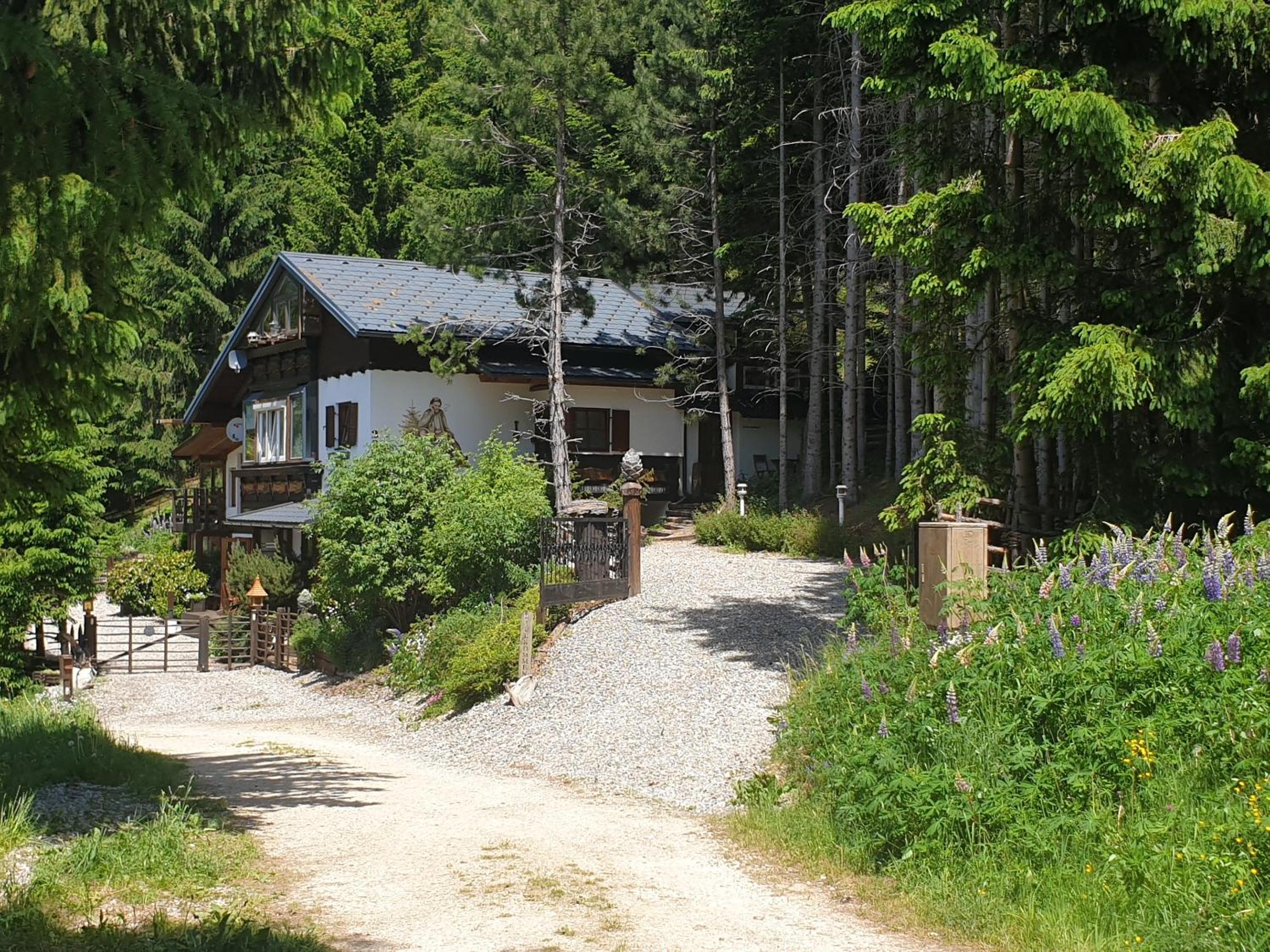 Alm-Ferienhaus Gaisegg am Klippitztörl