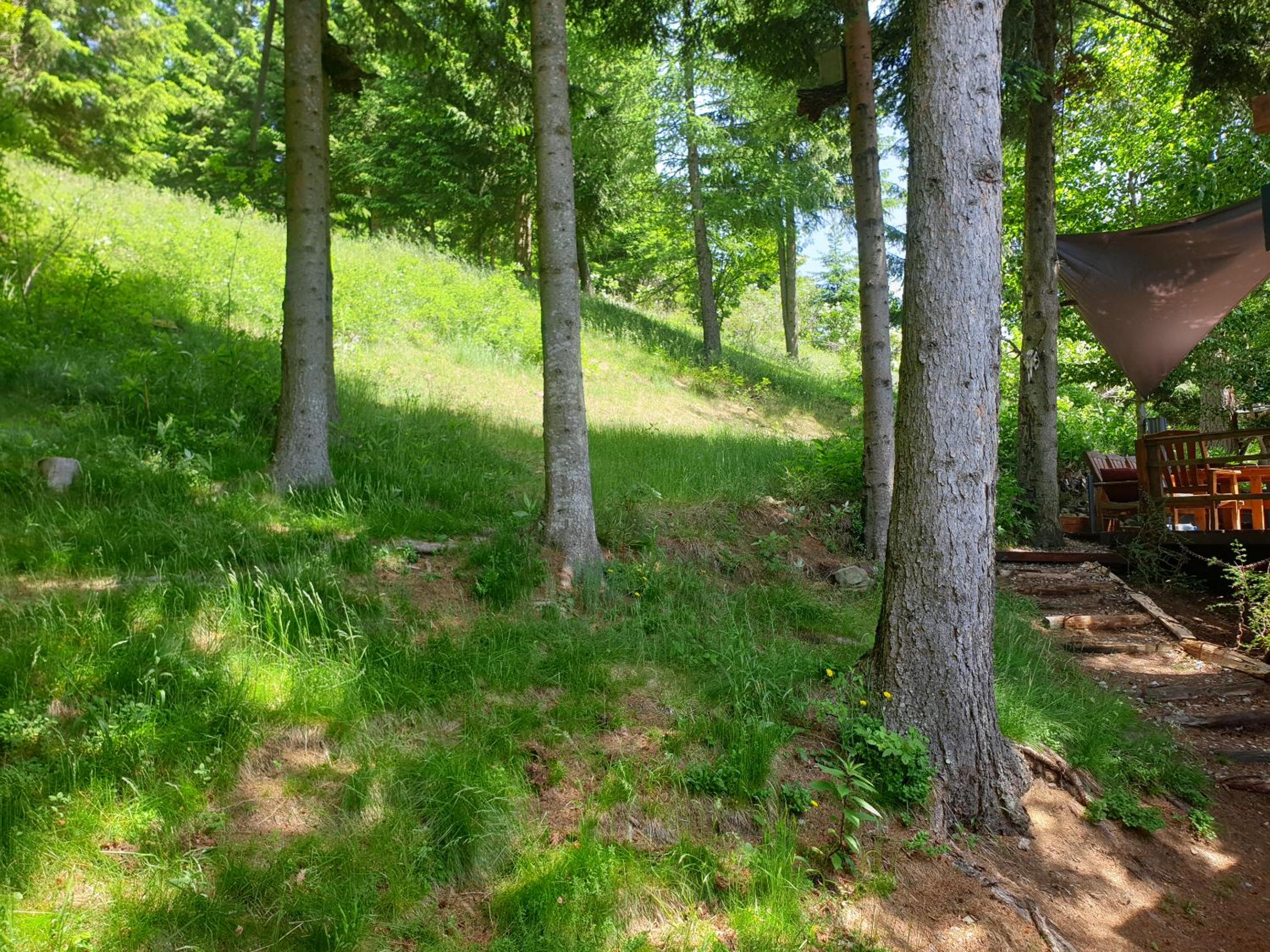 Alm-Ferienhaus Gaisegg am Klippitztörl