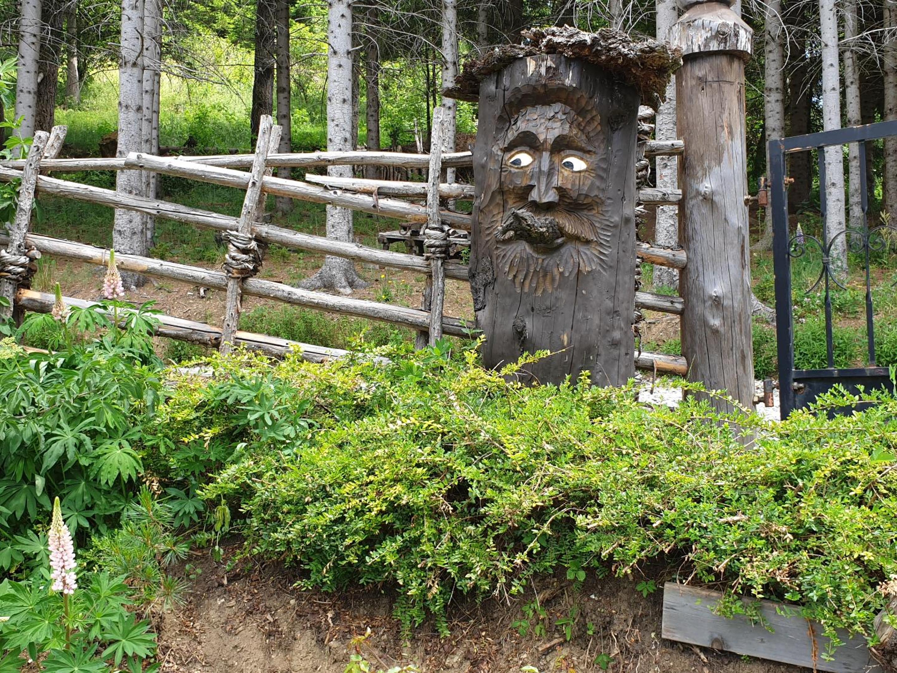 Alm-Ferienhaus Gaisegg am Klippitztörl