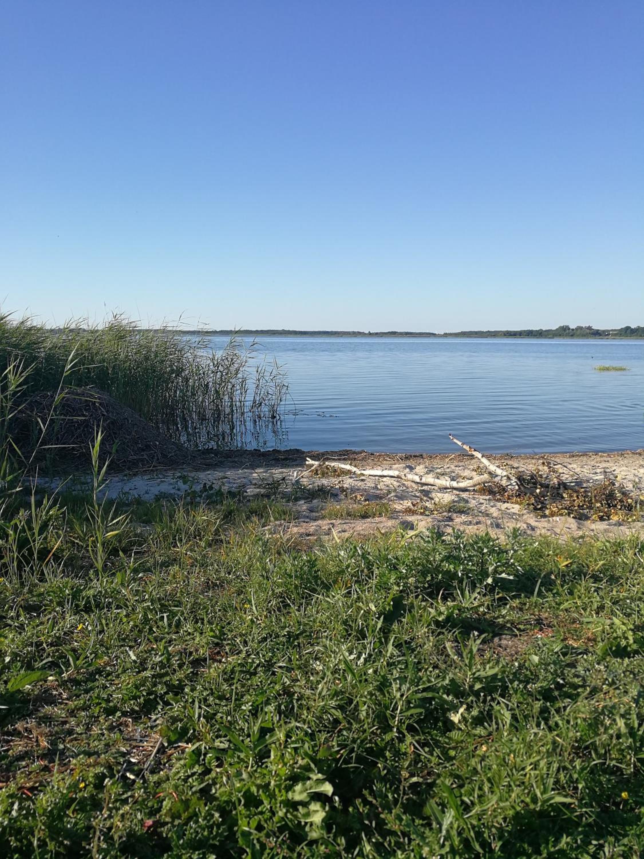 Photo 31