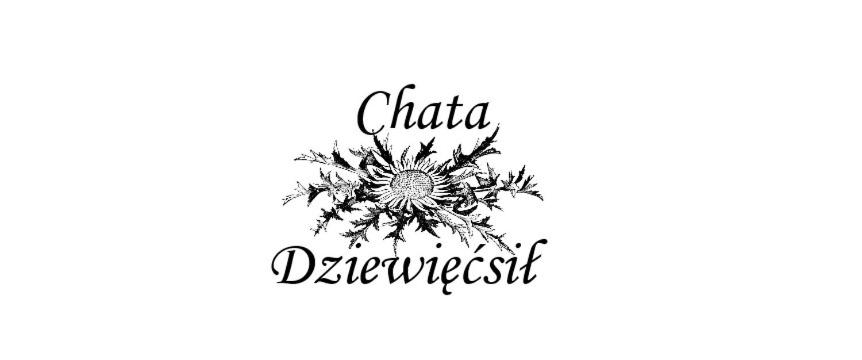 Chata Dziewięćsił view 2