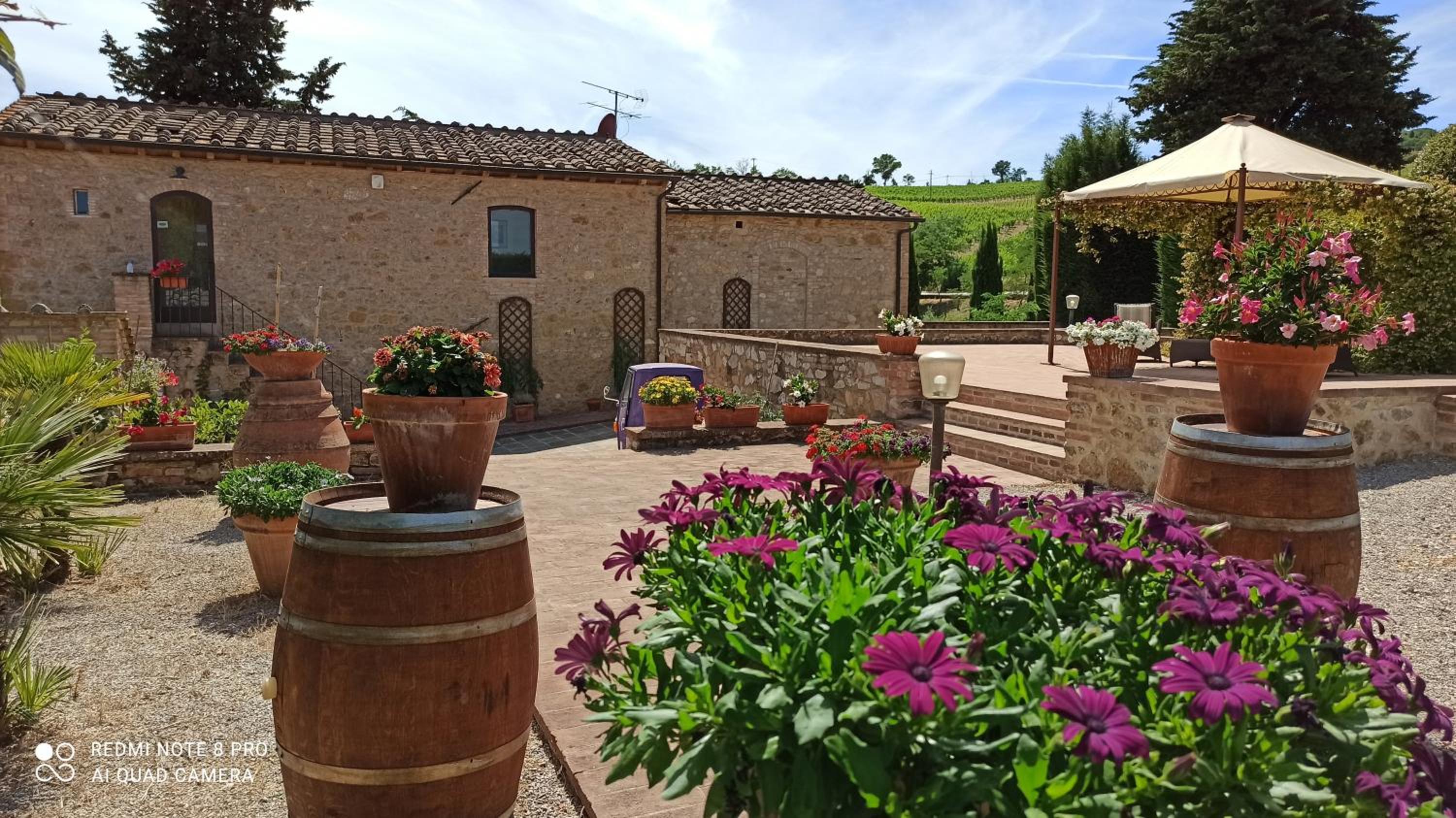 Rocca degli Olivi