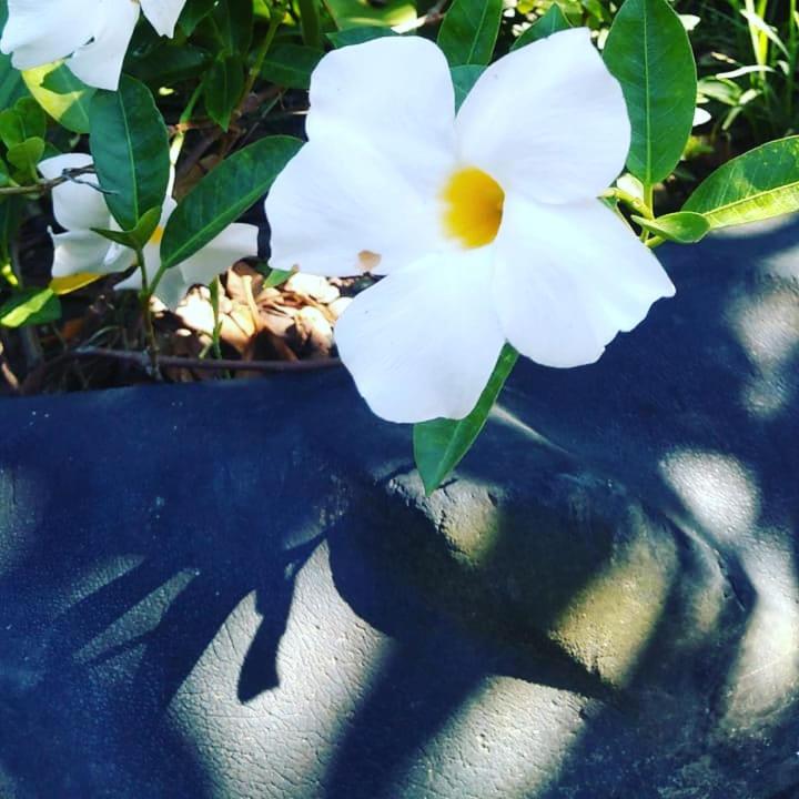 Chácara meu doce
