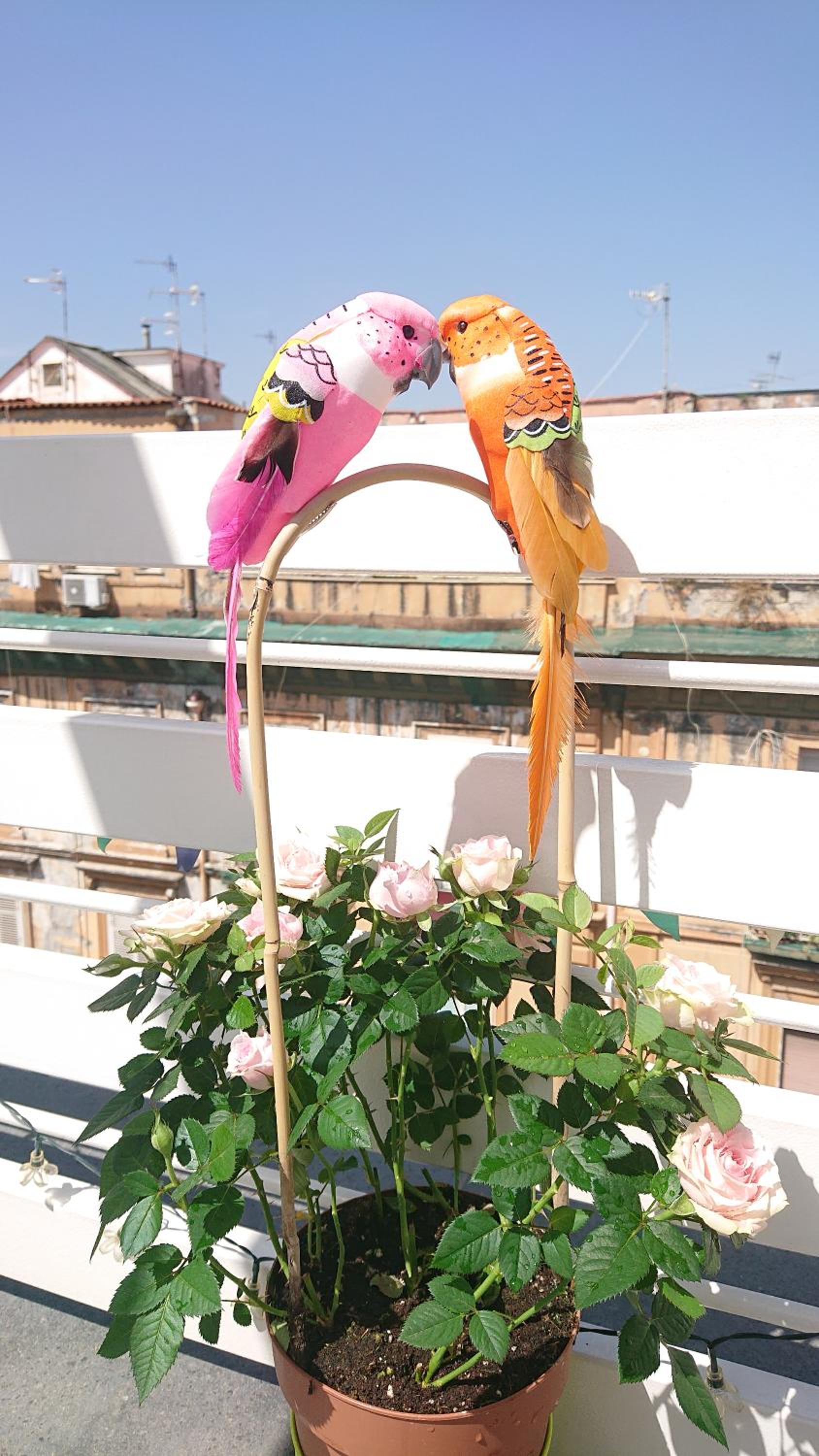 Sky-Terrace in Central Station, 3 bedrooms