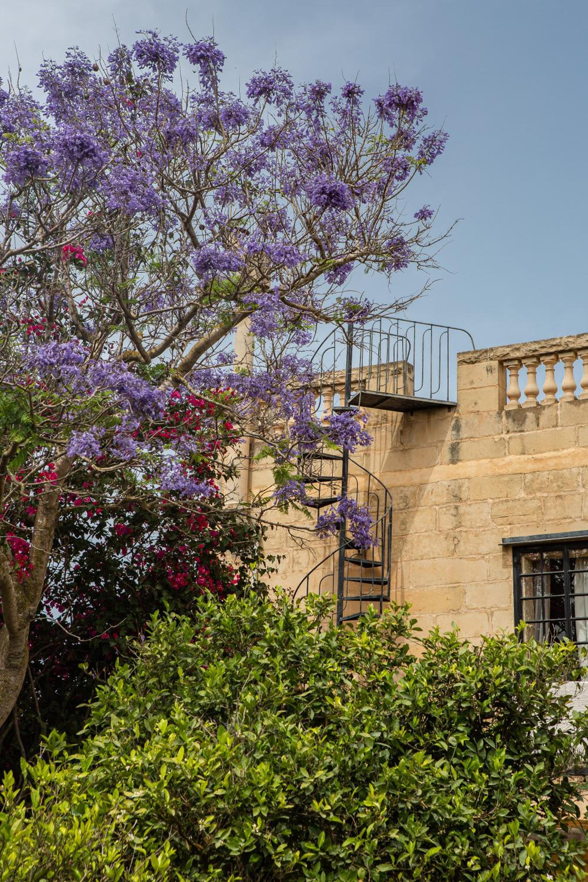 Ta' Bertu Host Family Bed & Breakfast