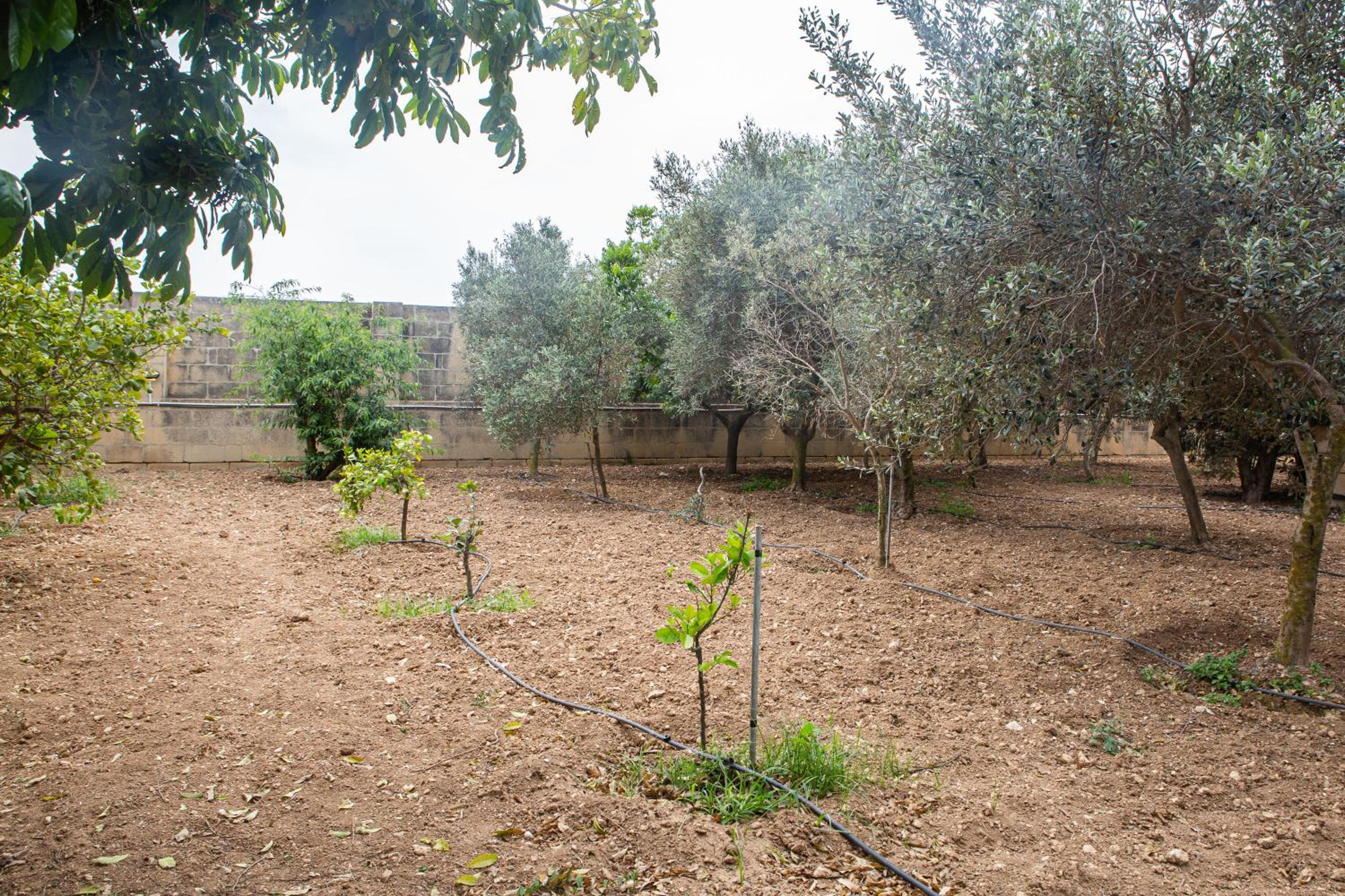 Ta' Bertu Host Family Bed & Breakfast