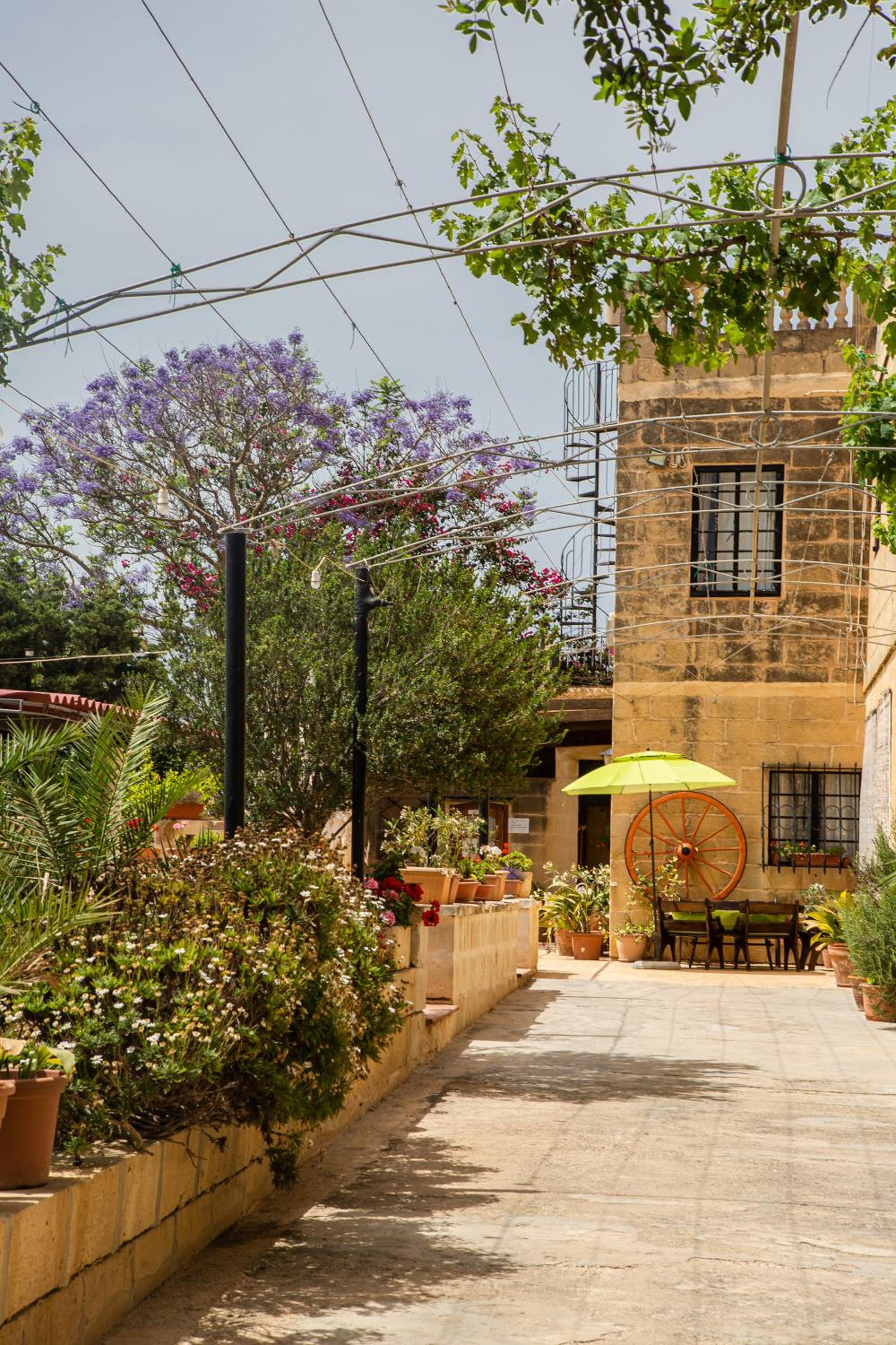 Ta' Bertu Host Family Bed & Breakfast