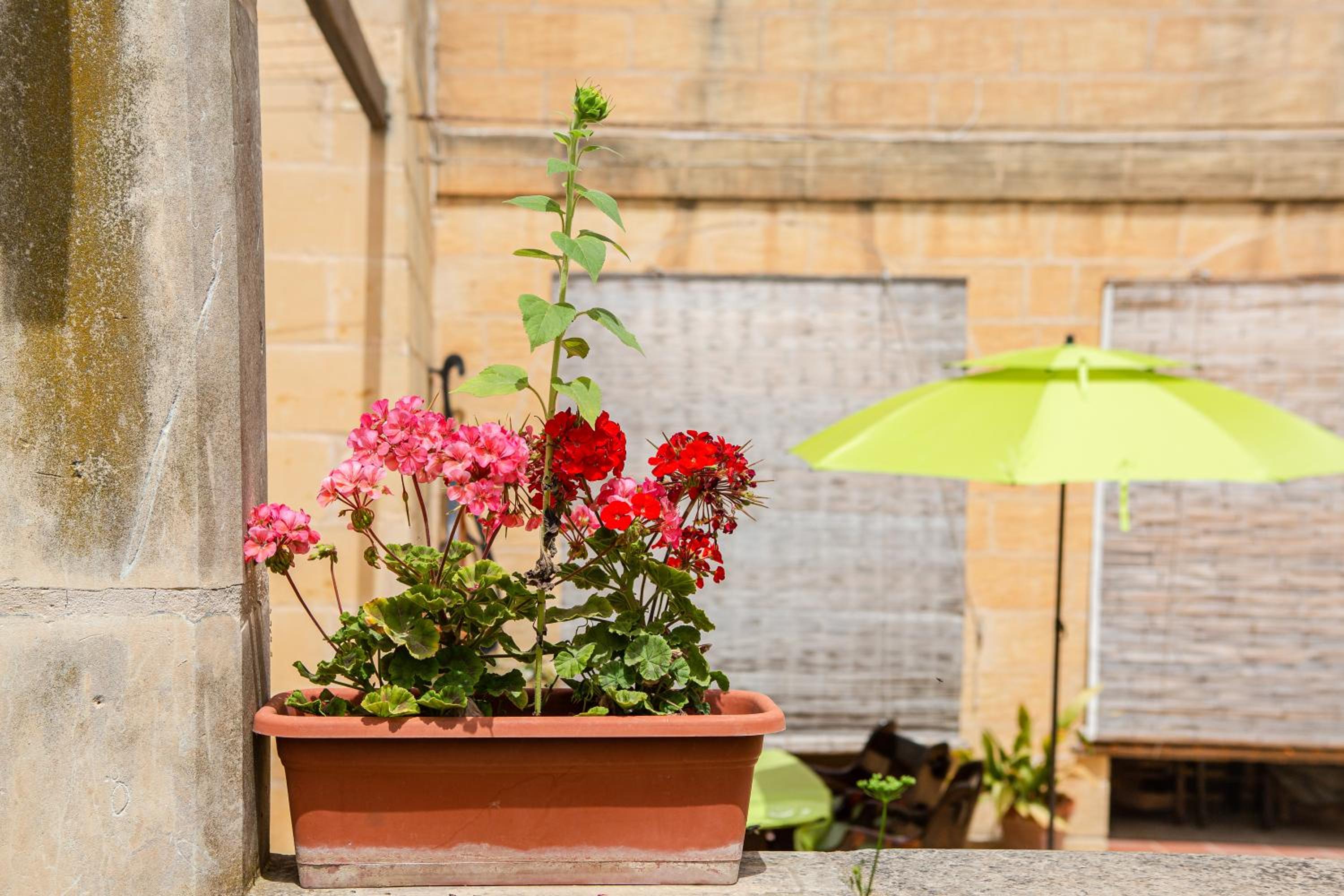 Ta' Bertu Host Family Bed & Breakfast