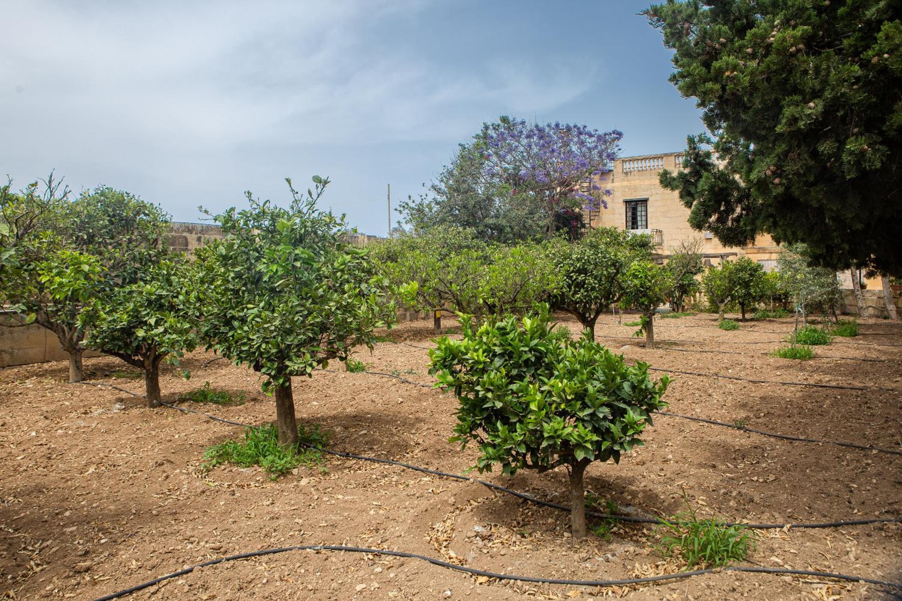 Ta' Bertu Host Family Bed & Breakfast