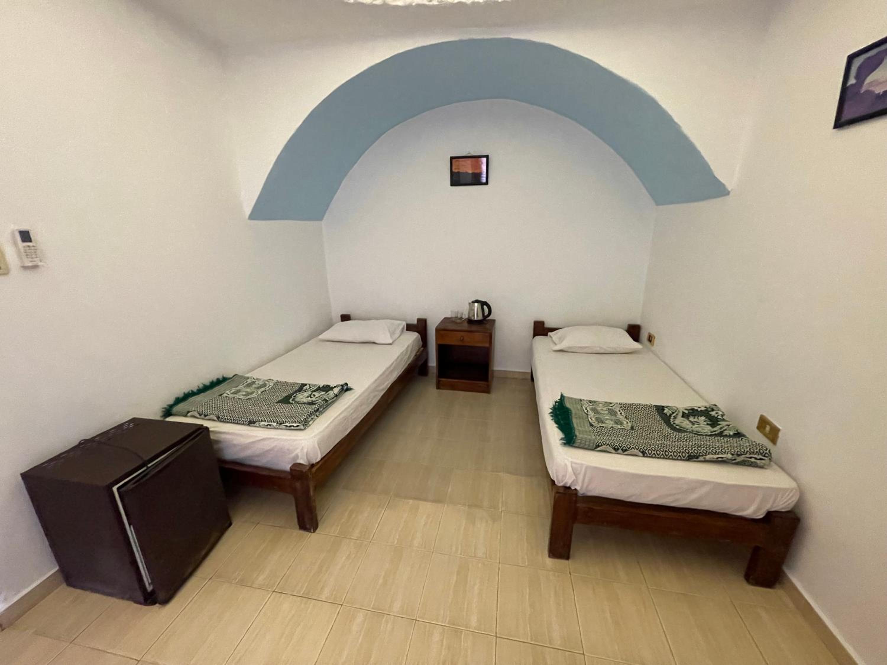Dolphin Camp
