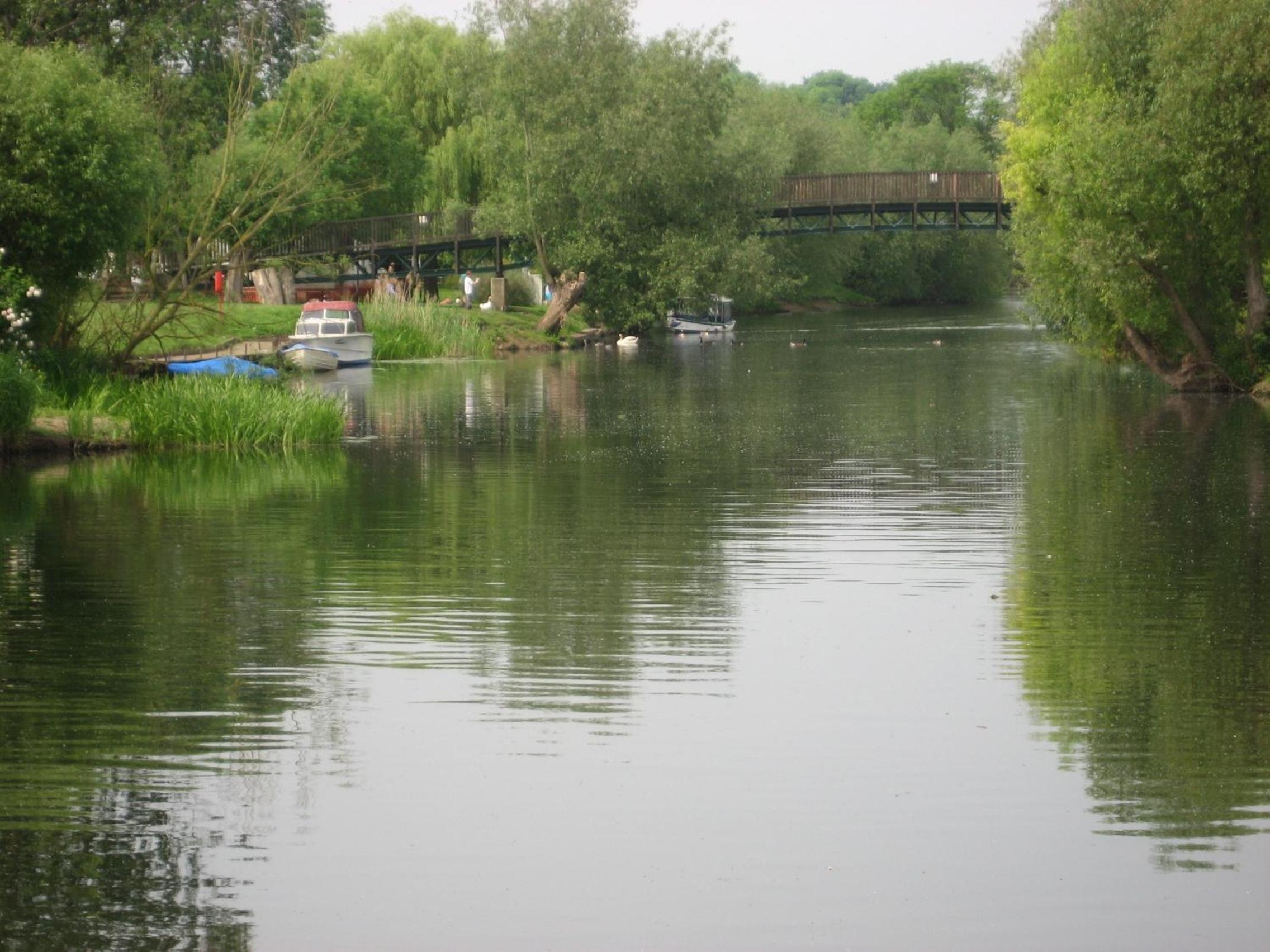 Photo 31