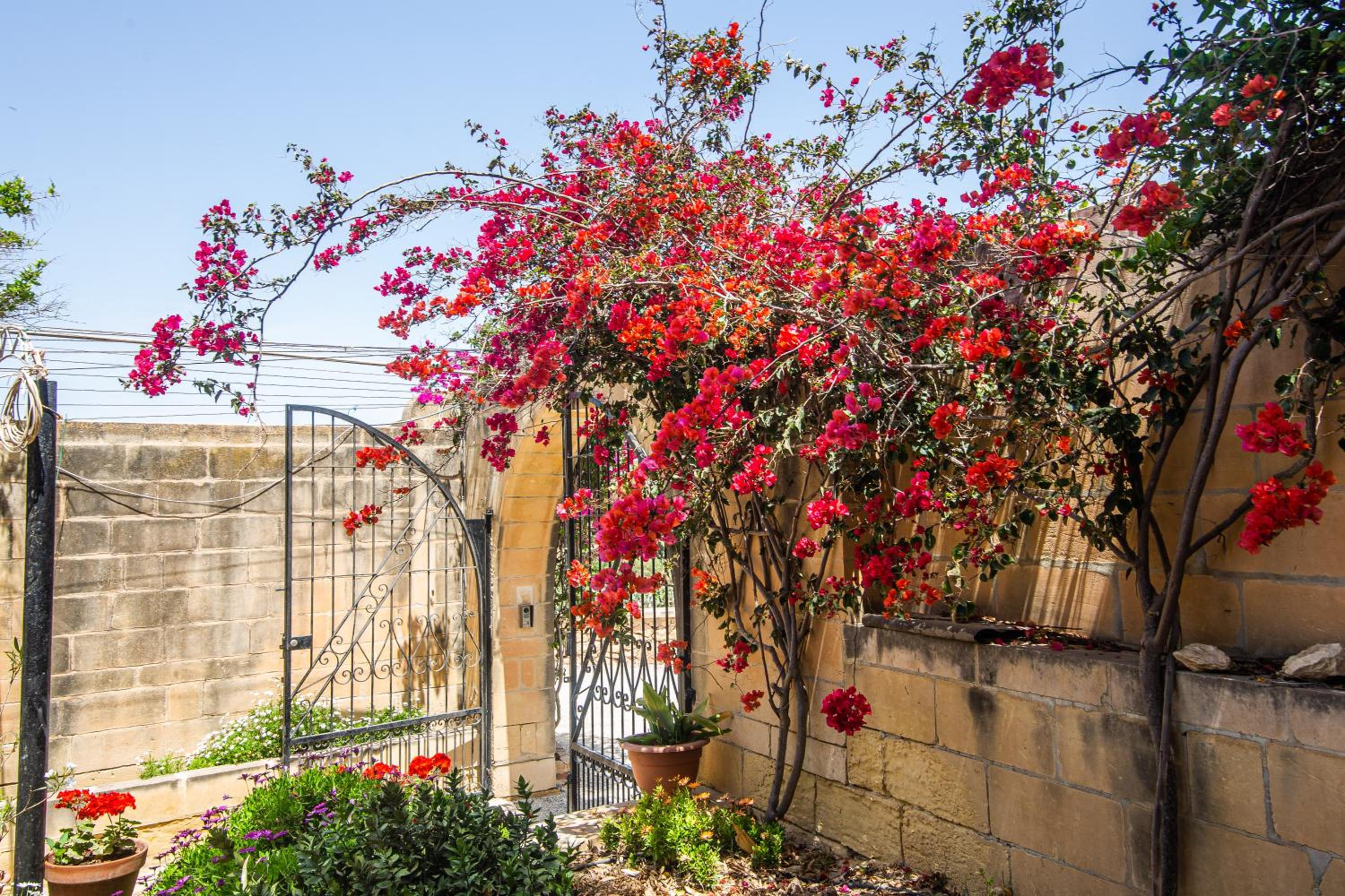 Ta' Bertu Host Family Bed & Breakfast
