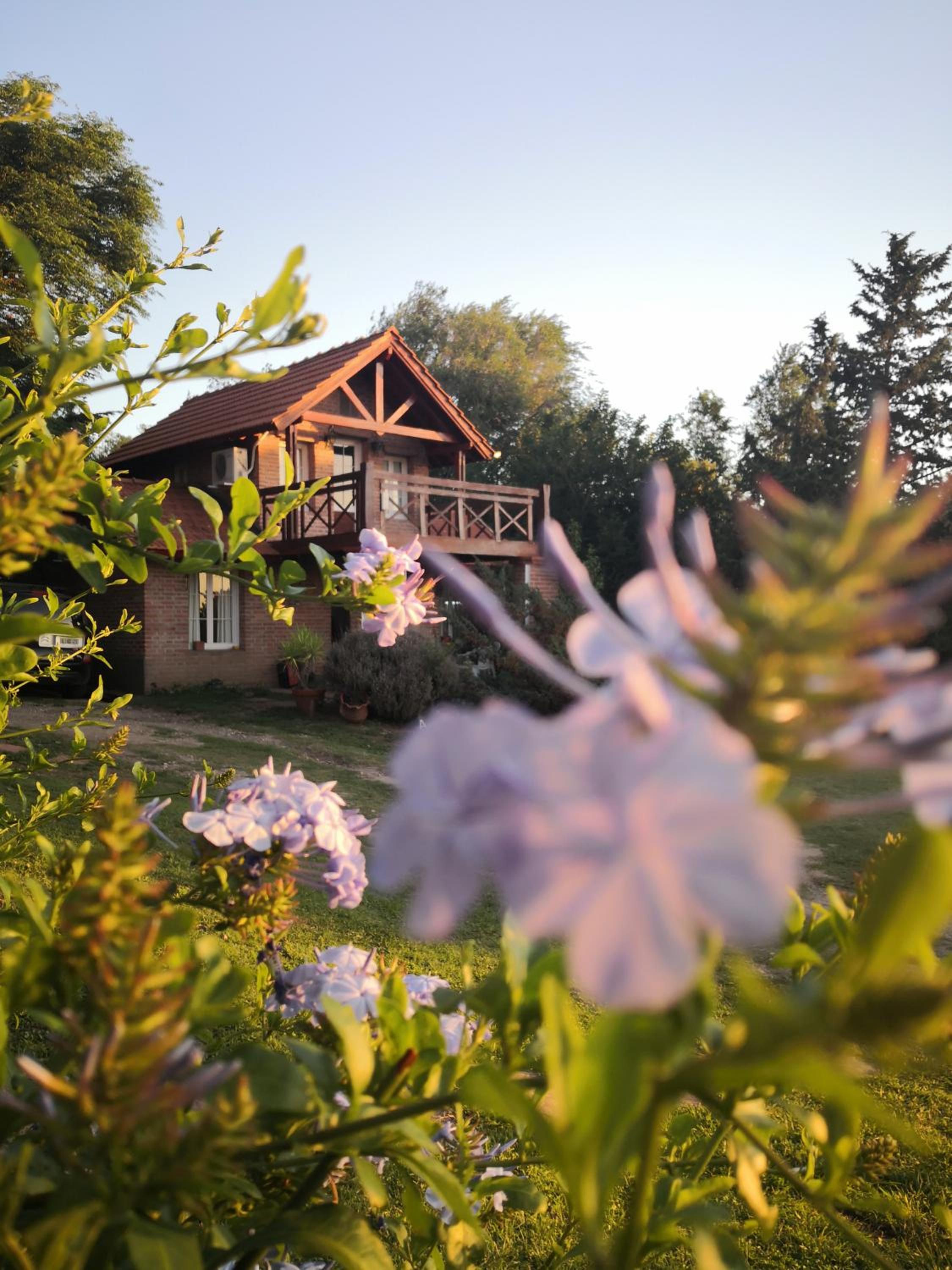 Cabañas Dalga Inn