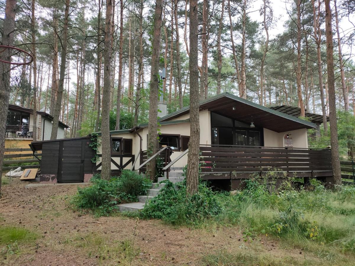Domek letniskowy "Wiewiórka" view 2