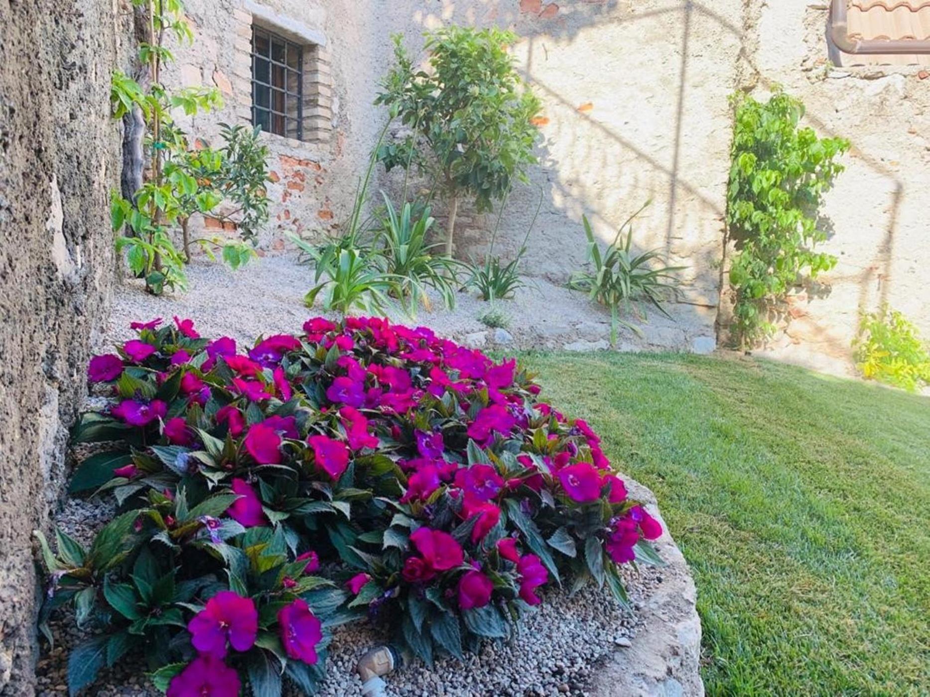 La Vigna photo 5