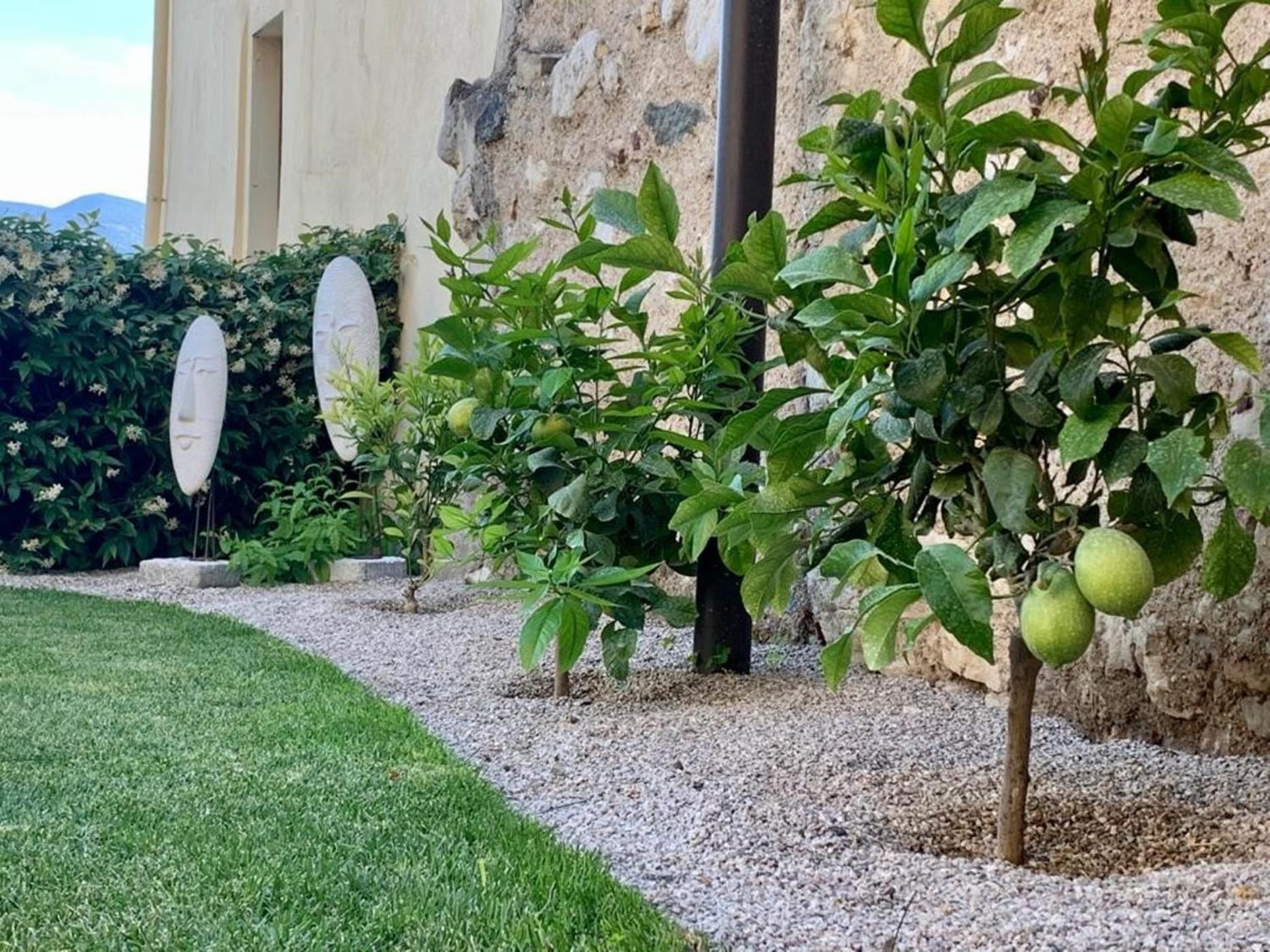 La Vigna photo 4