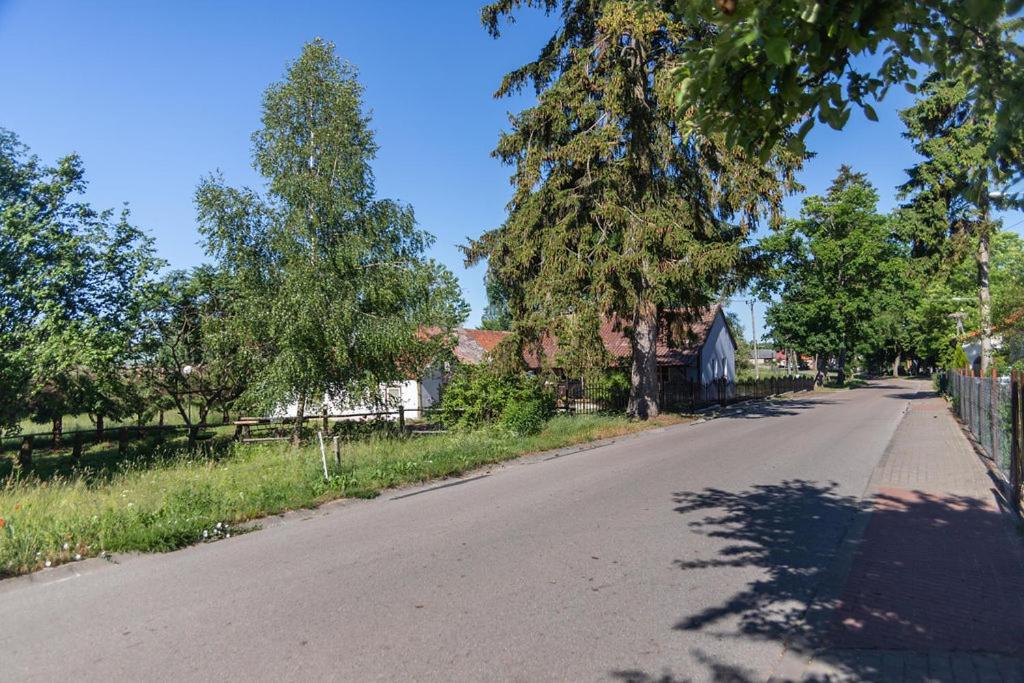 Photo 41