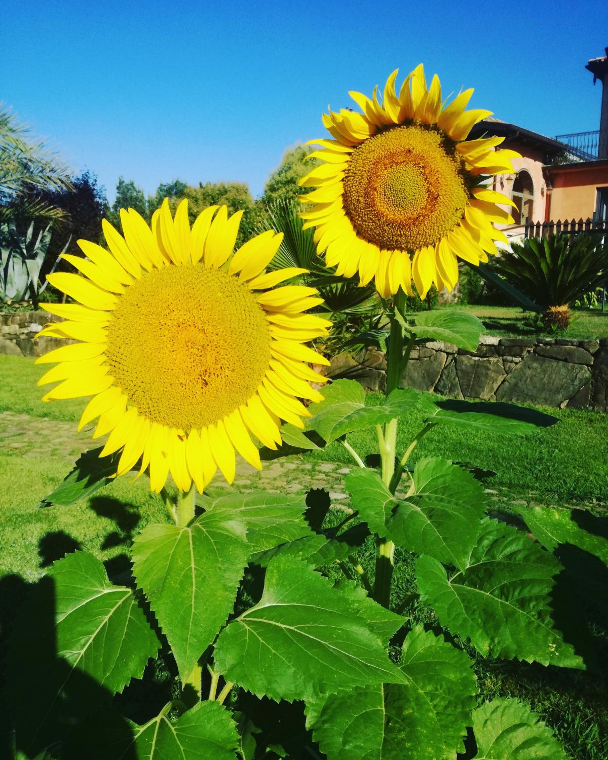 Agriturismo solare