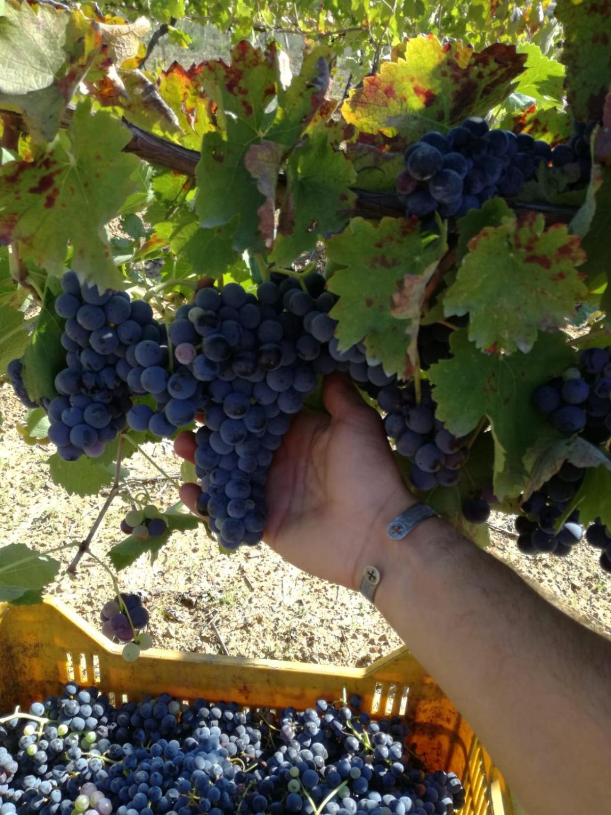 Agriturismo solare