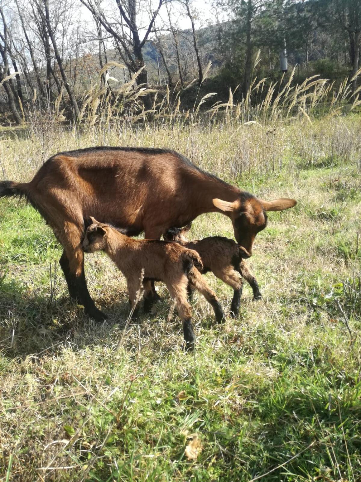 Agriturismo solare