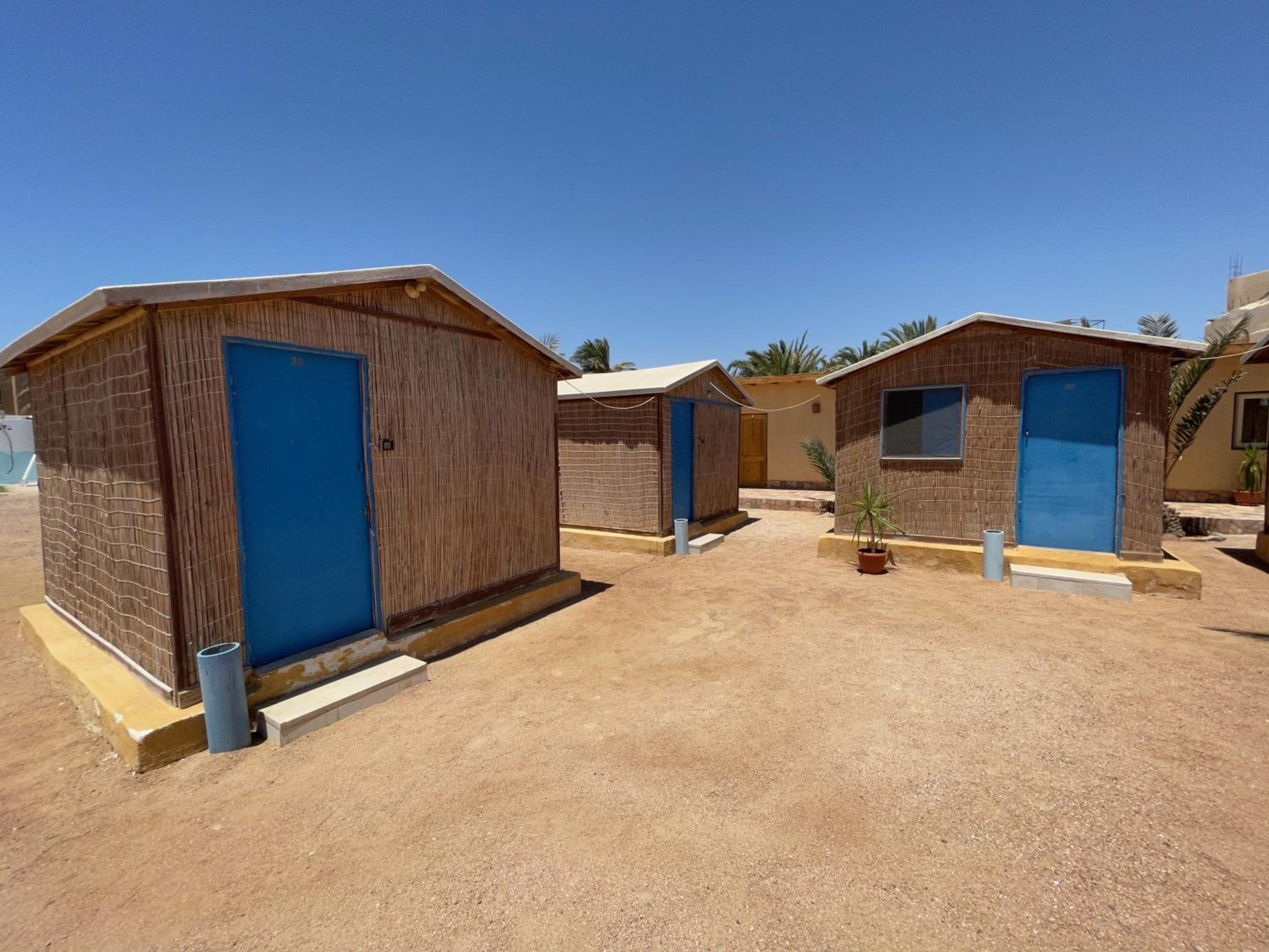 Dolphin Camp