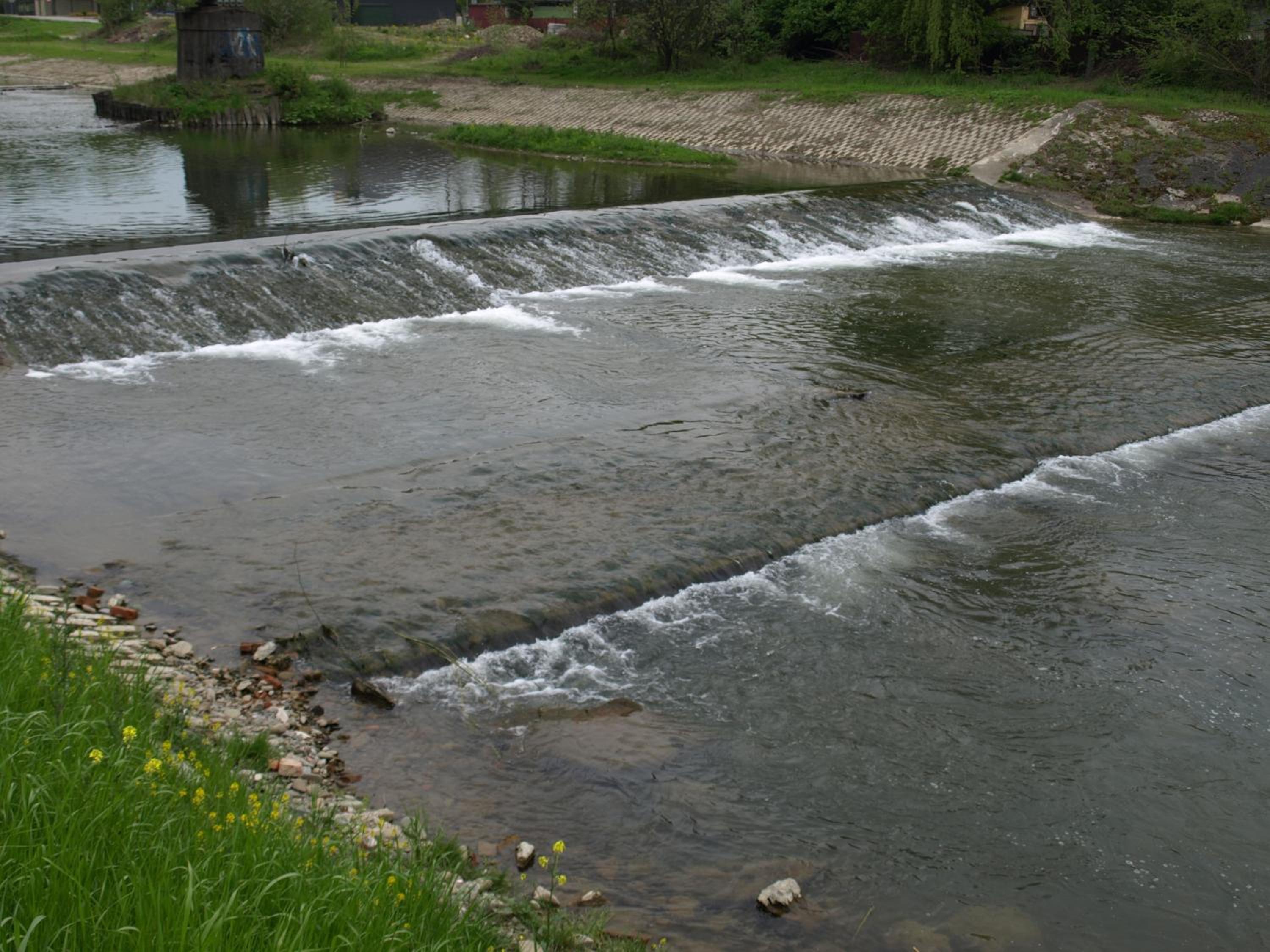 Wyspa Mszanka