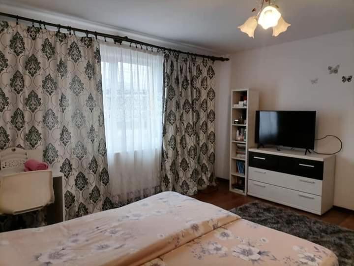 Pensiunea Brezu view 5