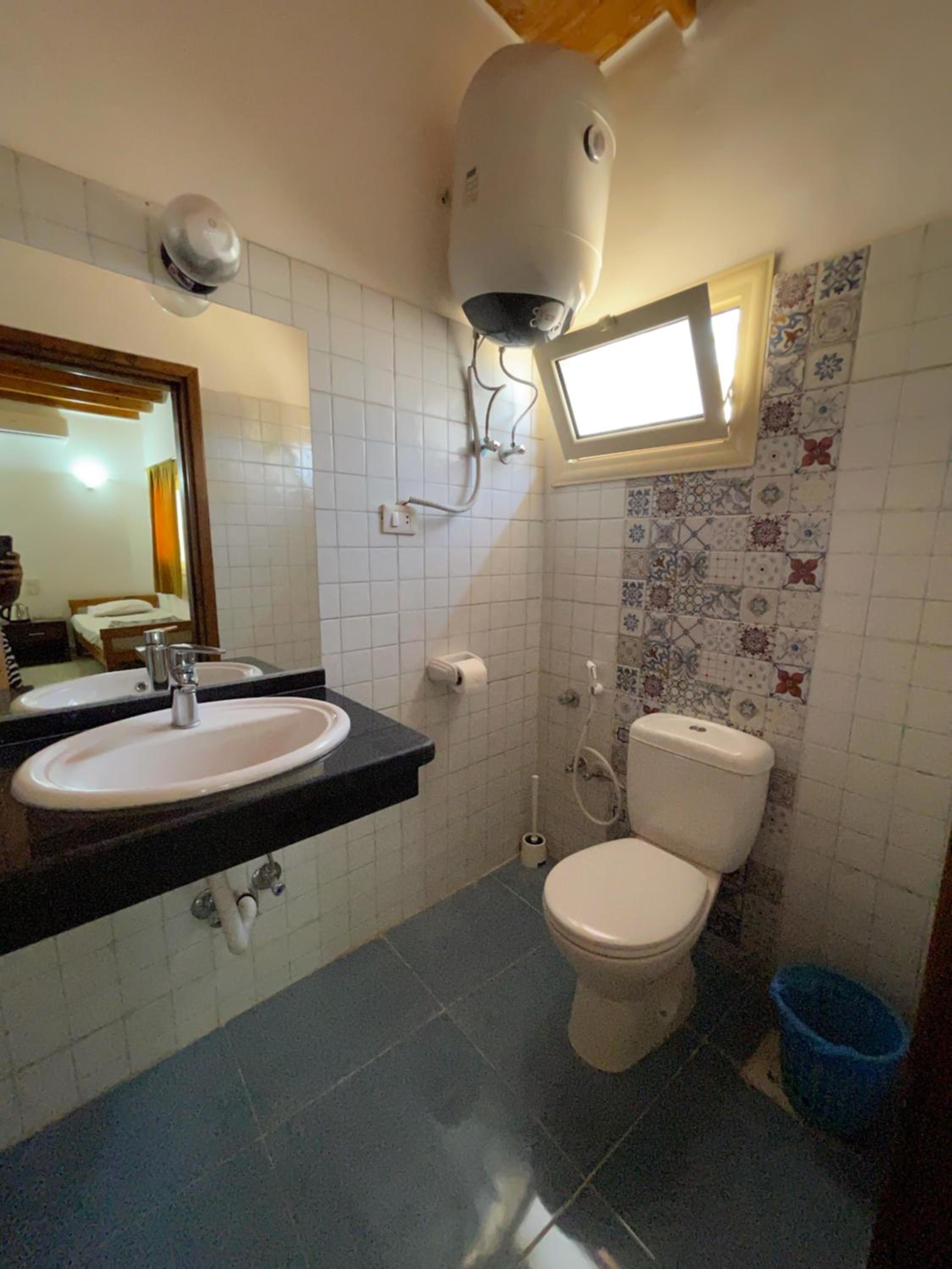 Dolphin Camp - Image 3