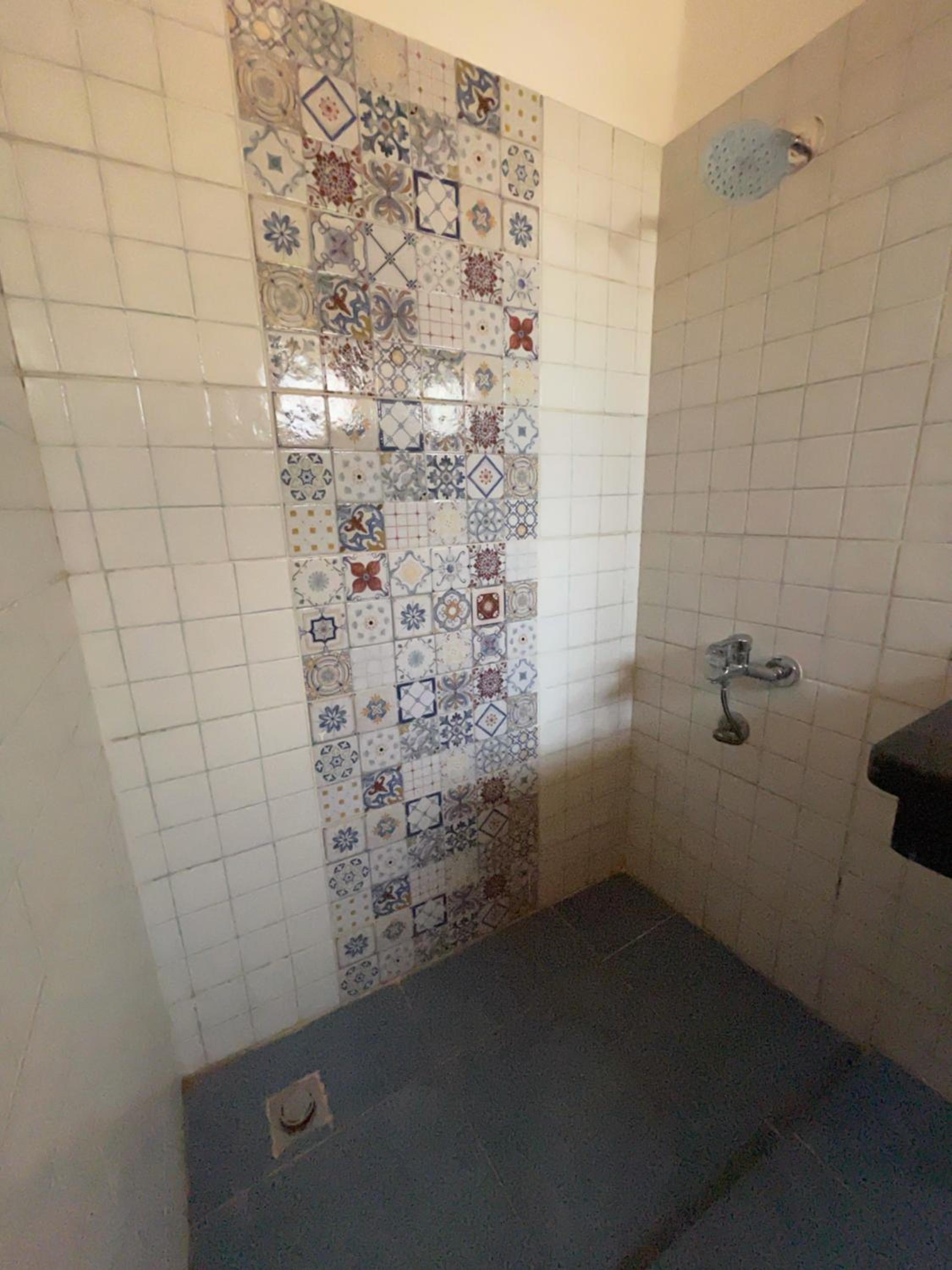 Dolphin Camp - Image 2