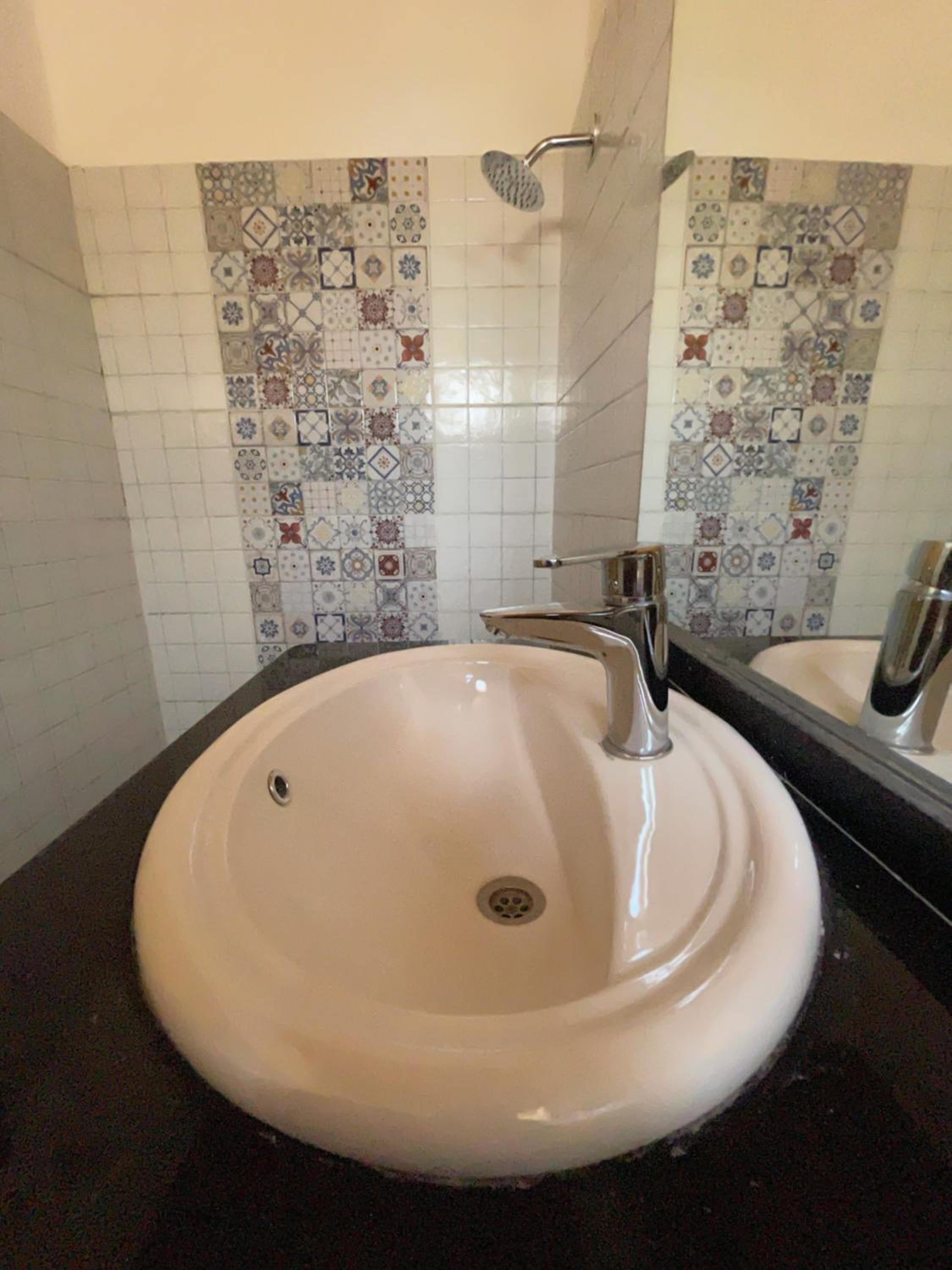 Dolphin Camp - Image 5